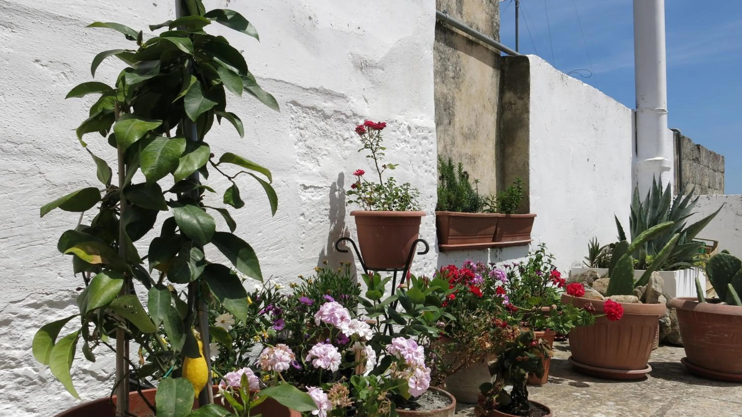 Spring in Volver B&B