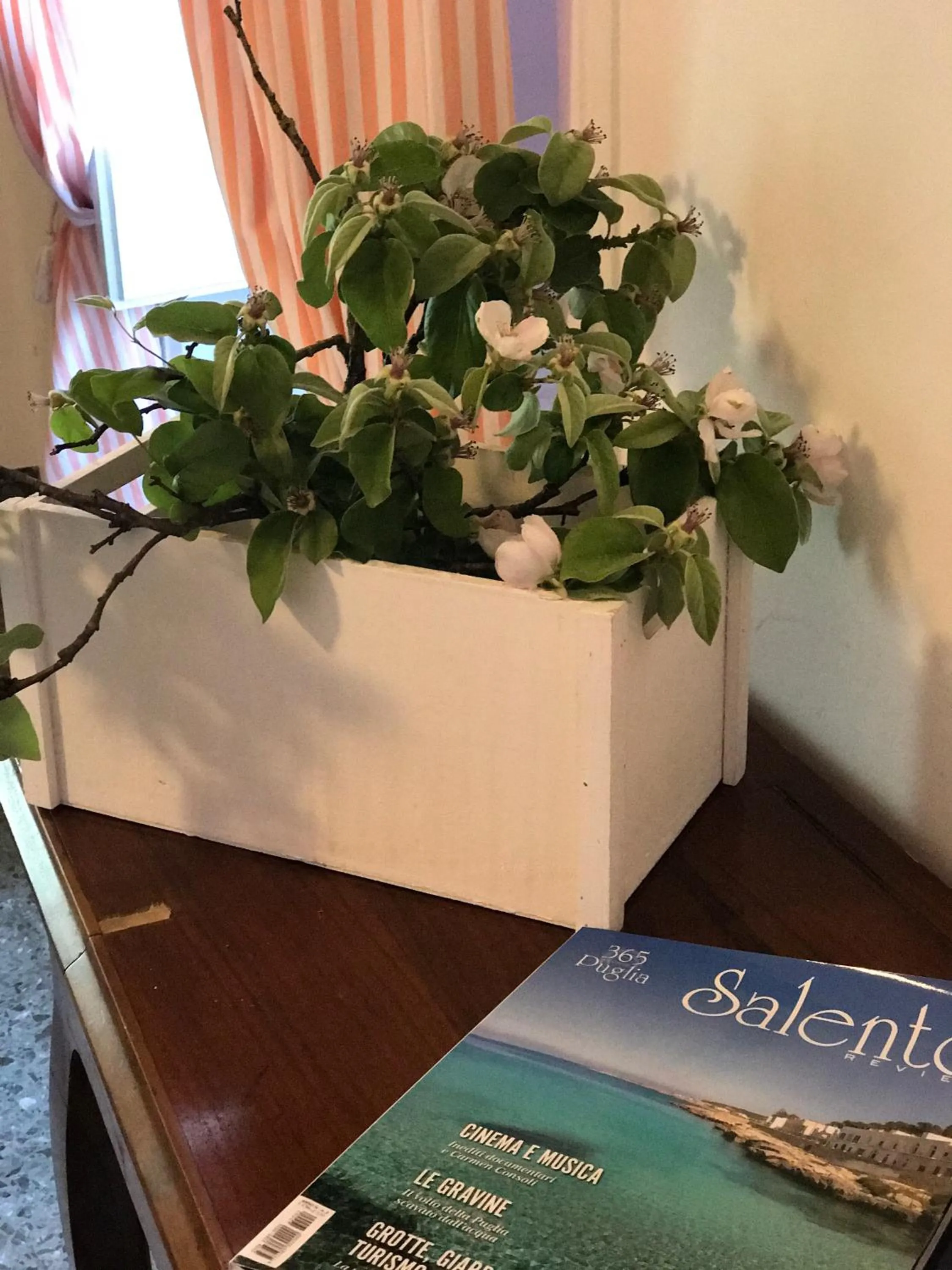 Decorative detail in Volver B&B