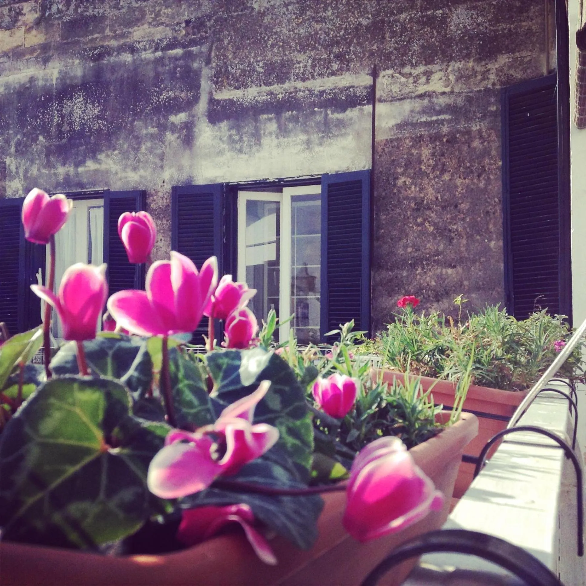 Balcony/Terrace in Volver B&B