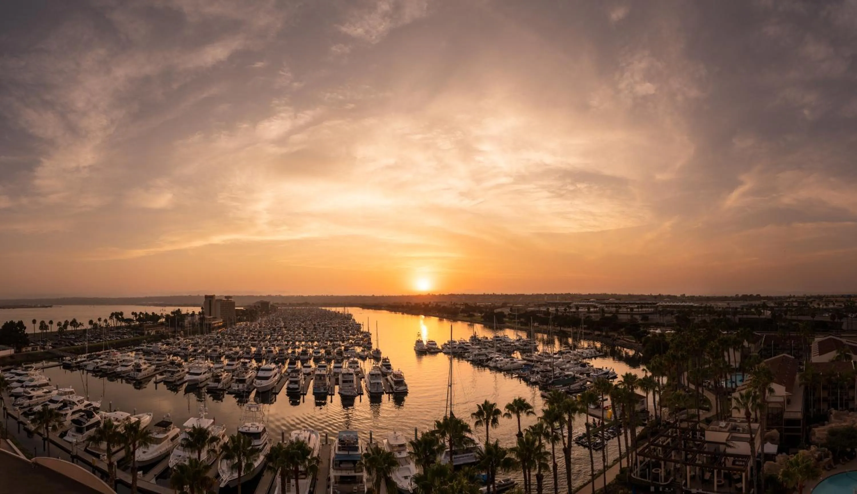 View (from property/room) in Sheraton San Diego Resort