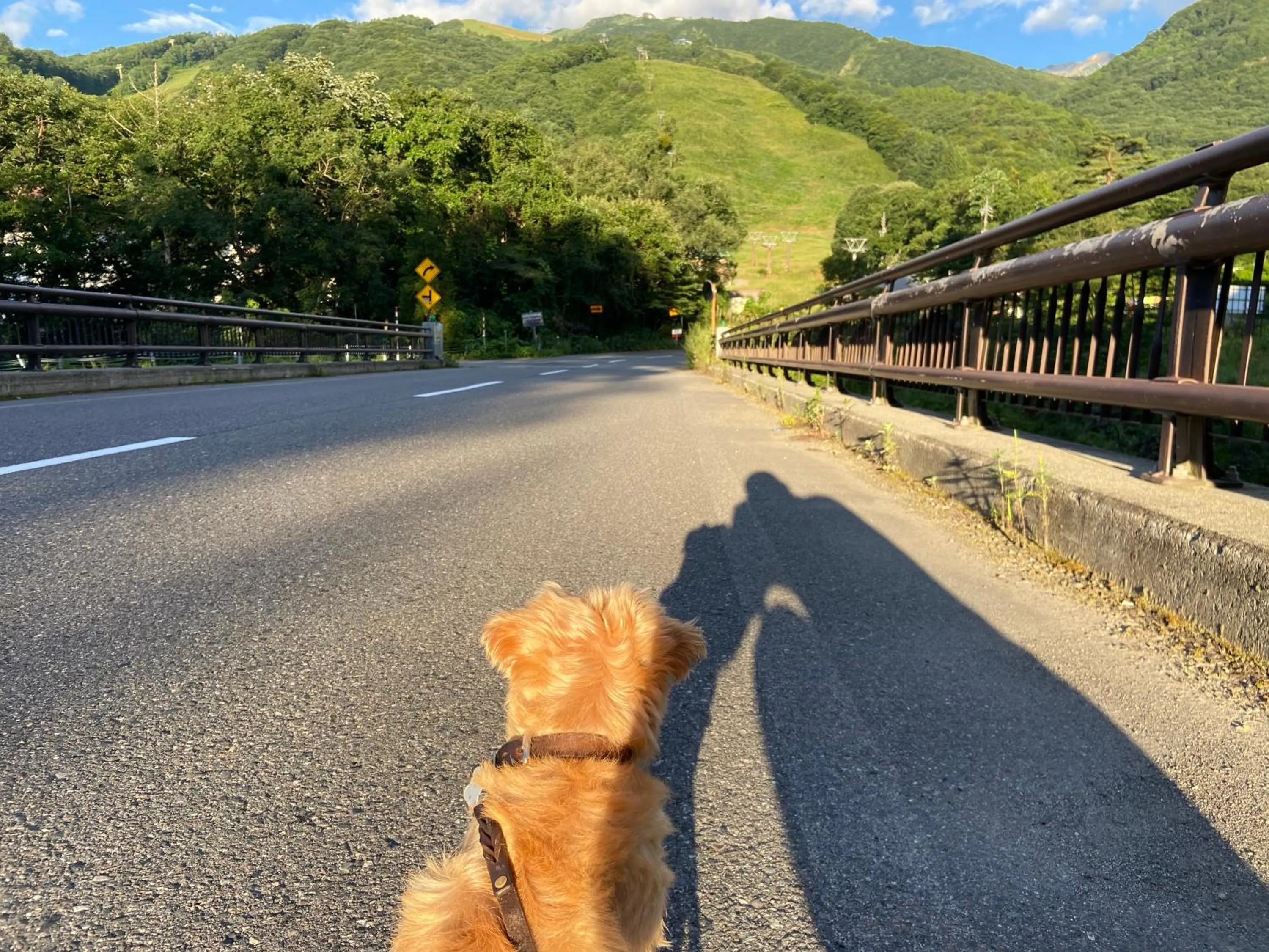 Natural landscape in 白馬パウダーマウンテン