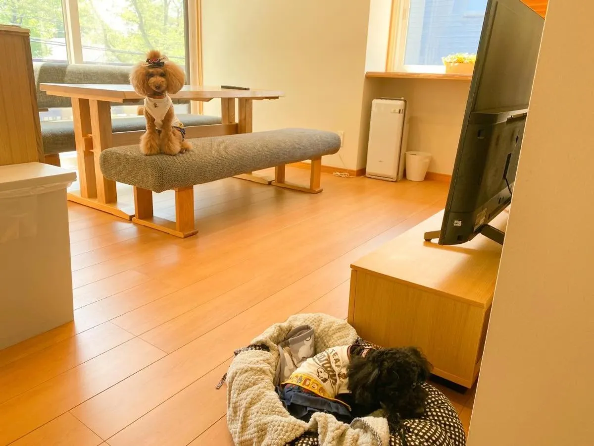 白馬パウダーマウンテン