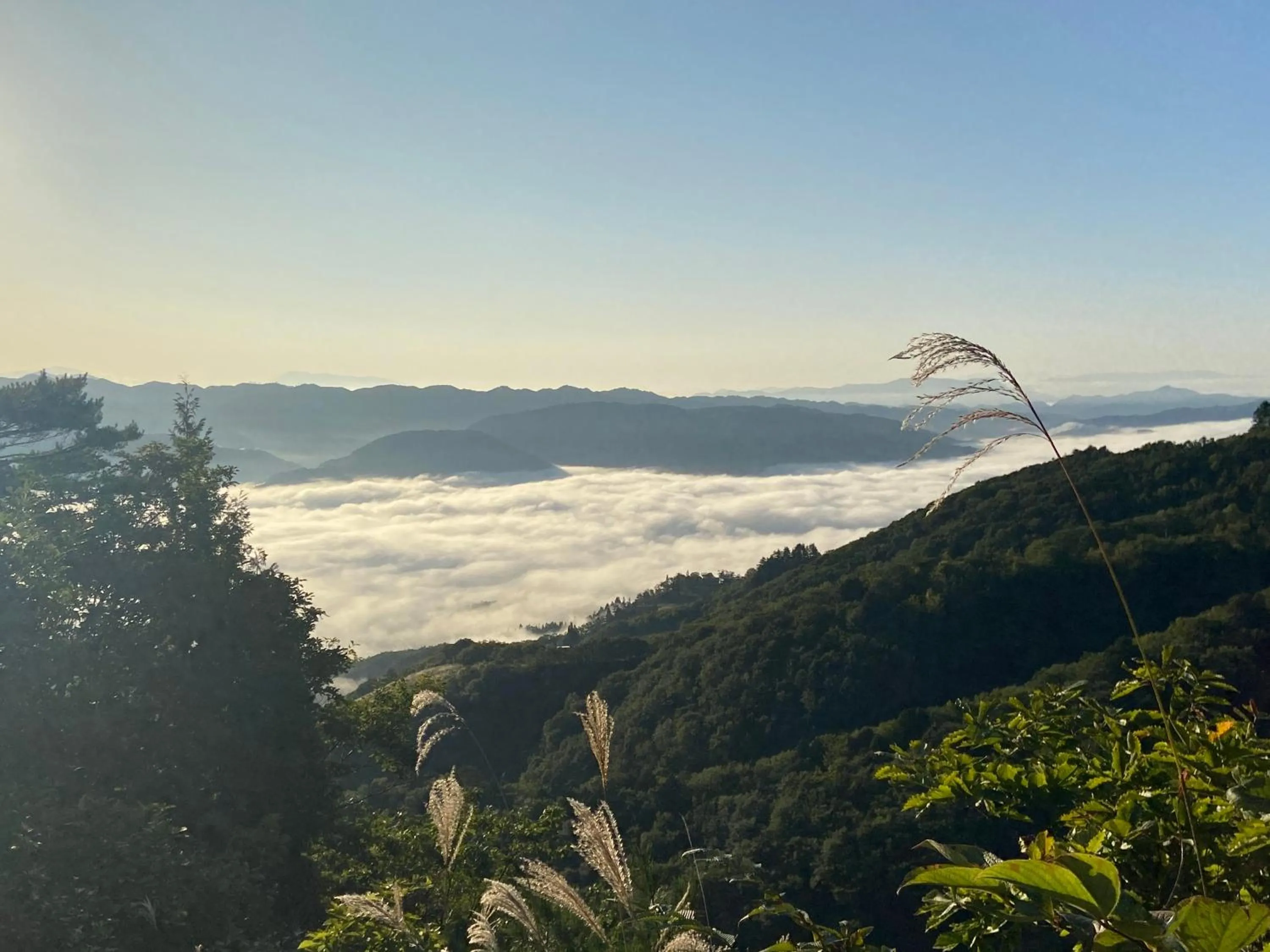 Natural landscape in 白馬パウダーマウンテン