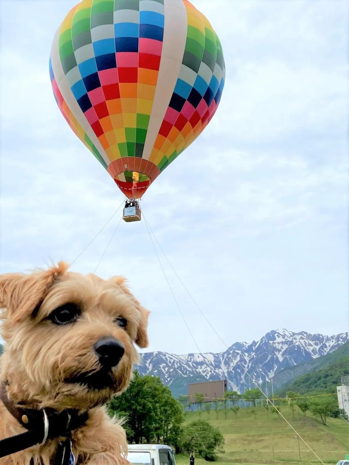 Natural landscape in 白馬パウダーマウンテン