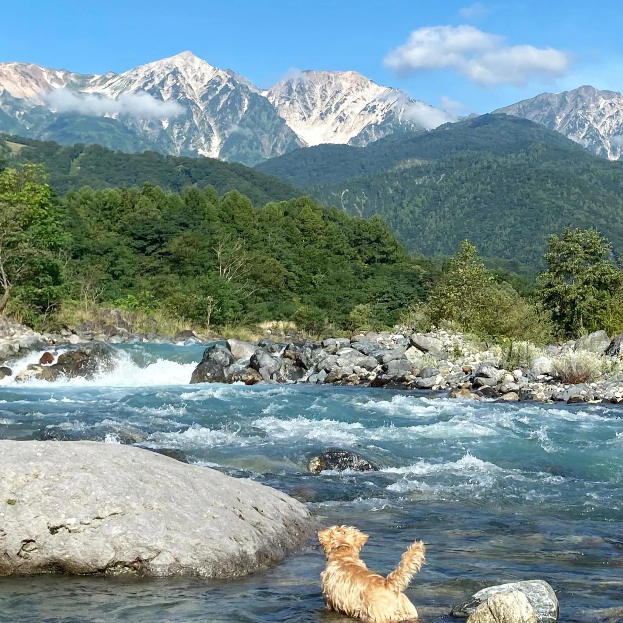 Nearby landmark in 白馬パウダーマウンテン