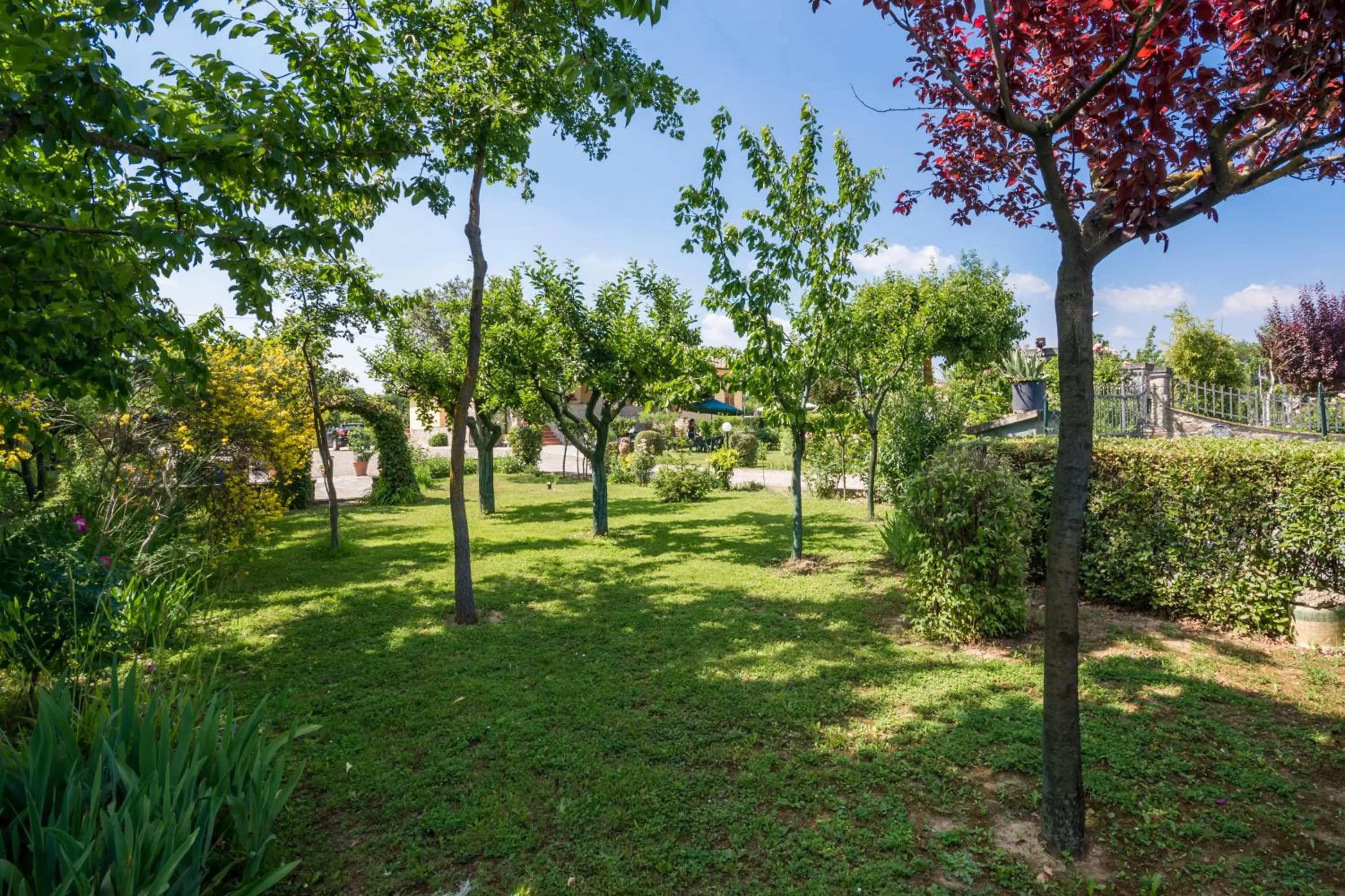 Day in B&B Maesta' Di Cudino