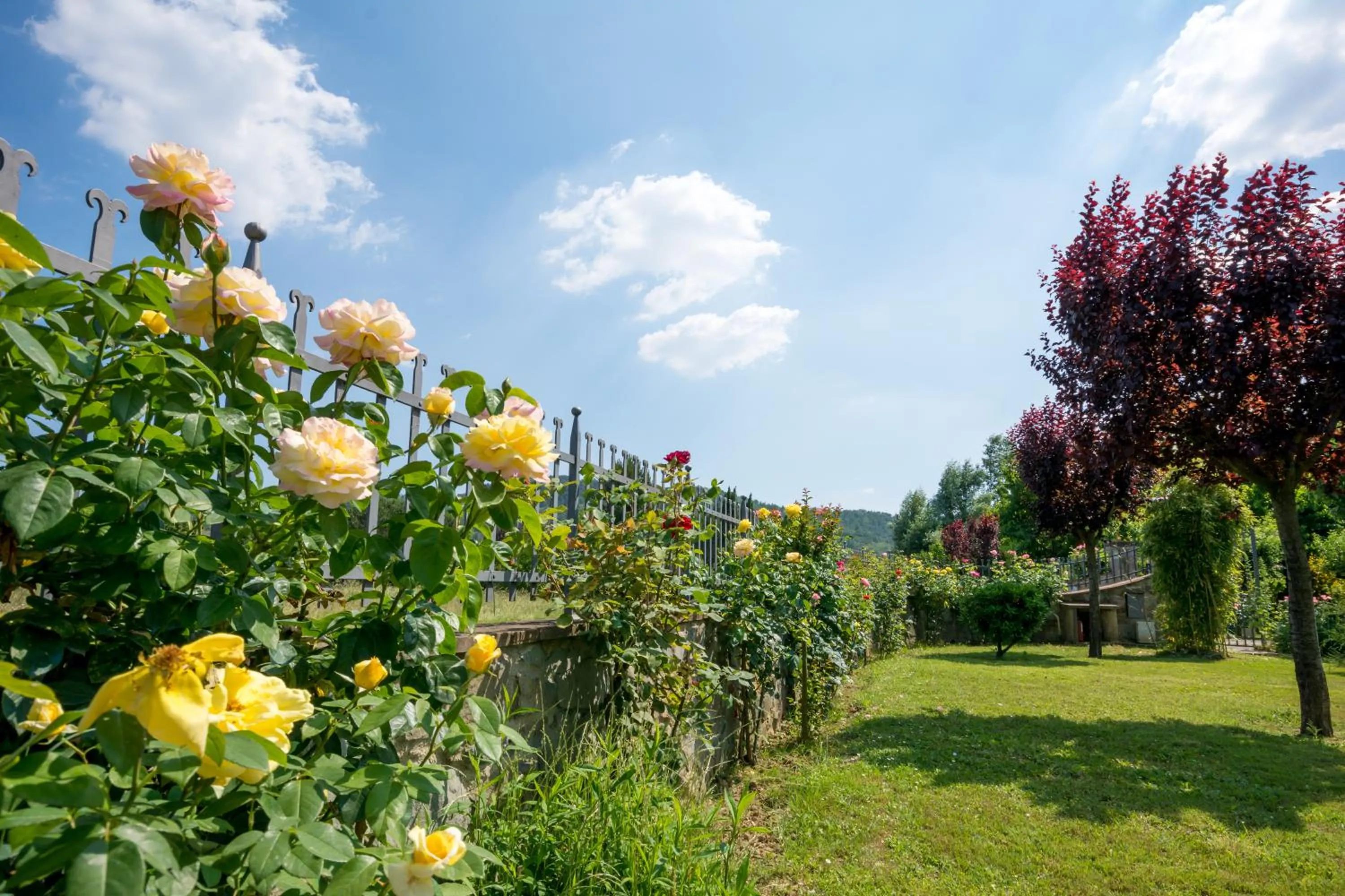 Day in B&B Maesta' Di Cudino