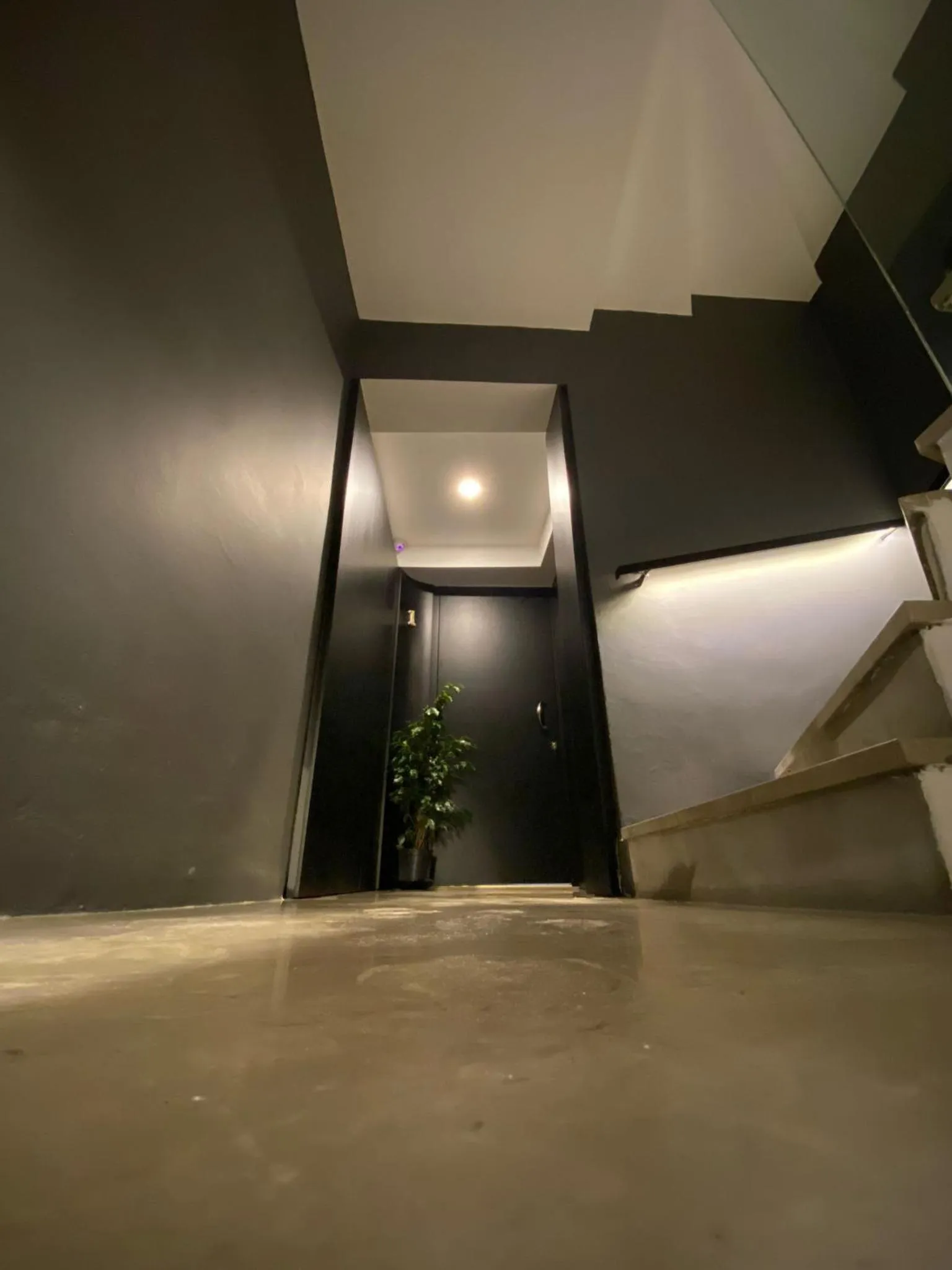 Property building in West Palace