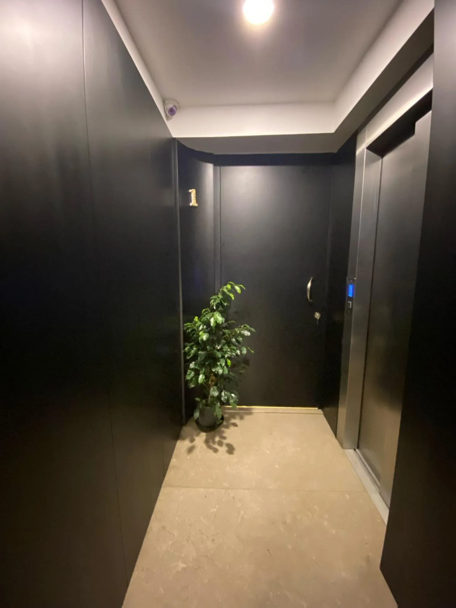 Property building in West Palace