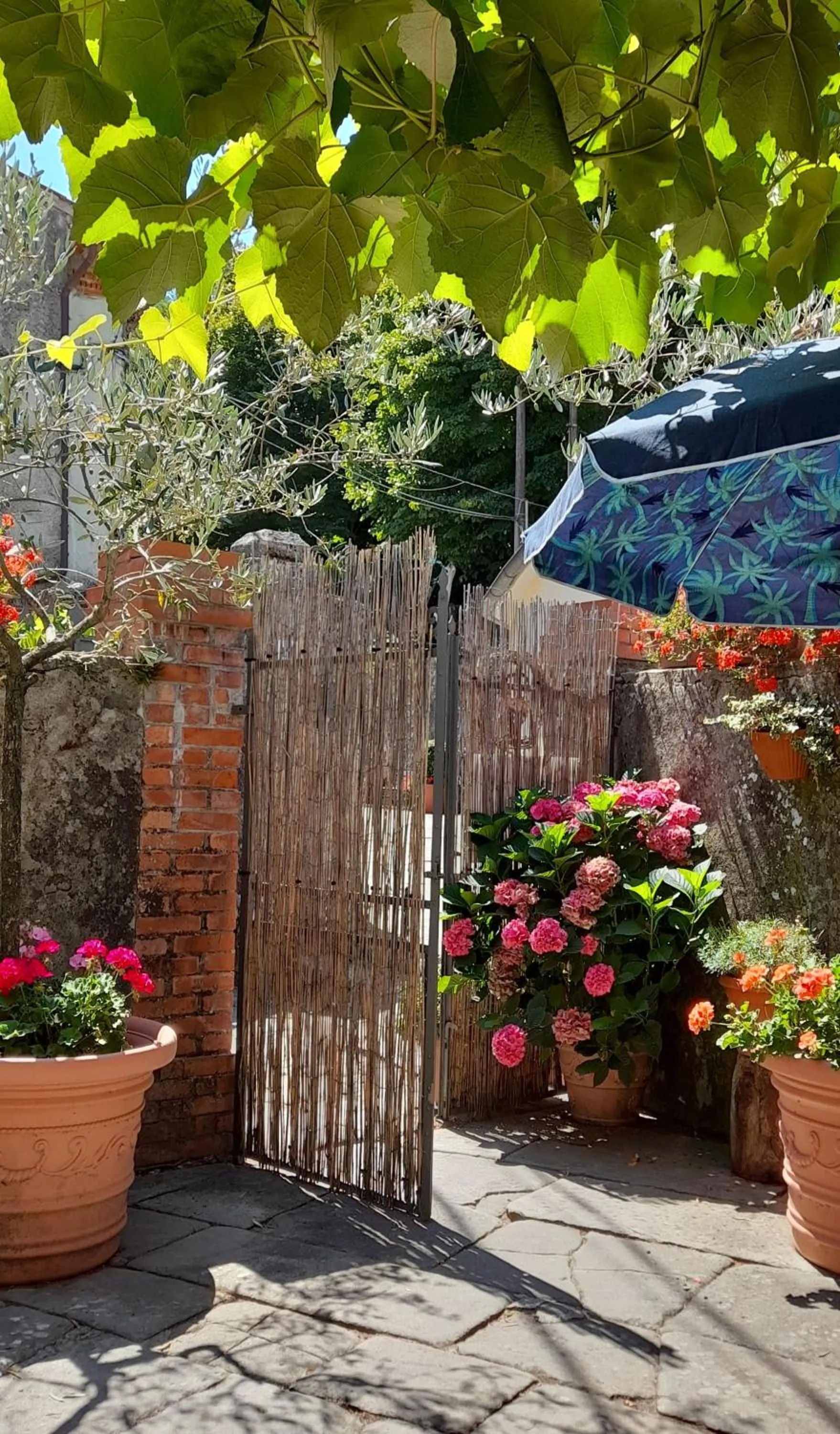 B&B La Margine e SPA