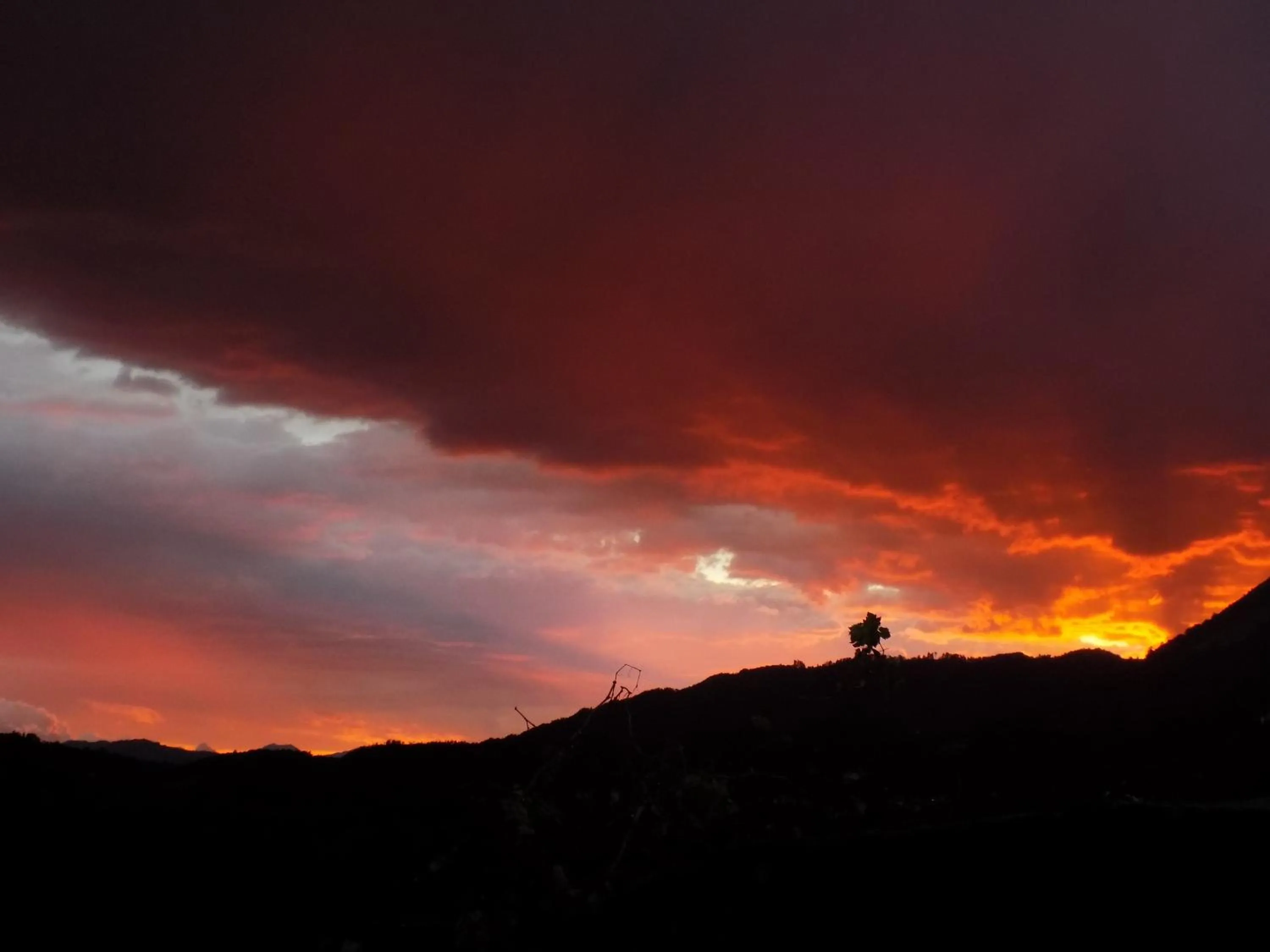 B&B La Margine e SPA