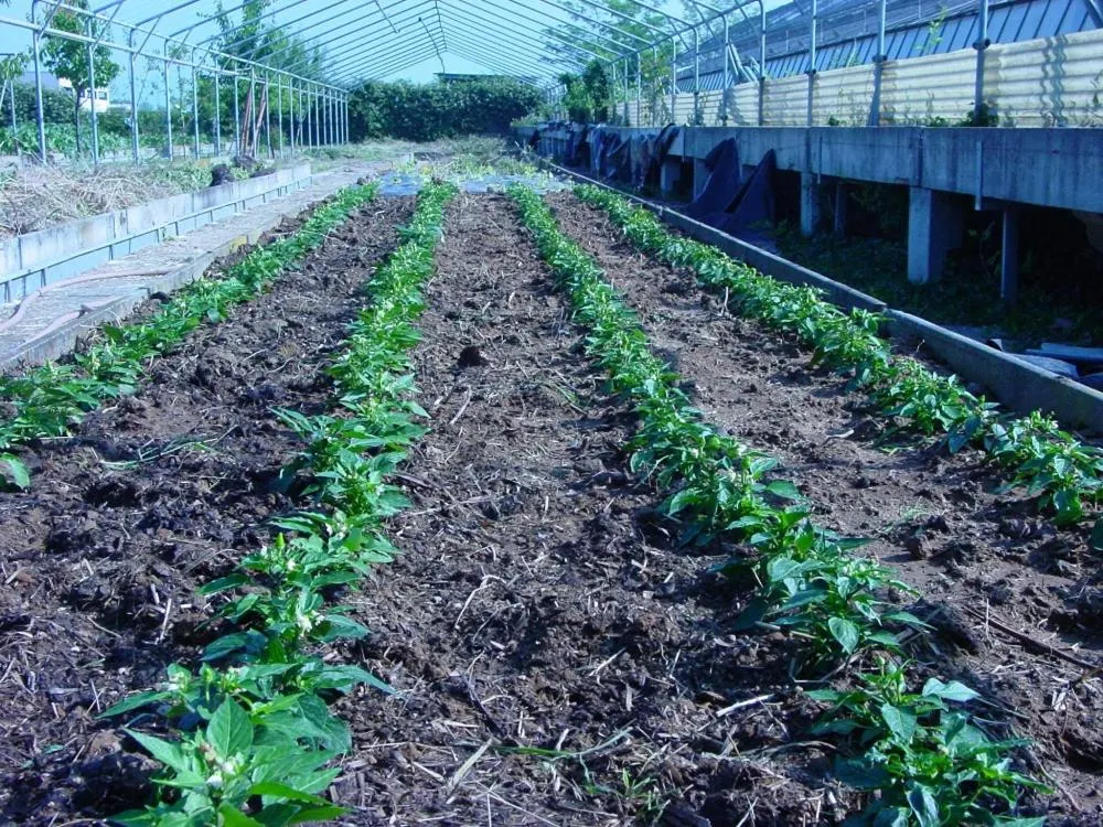 Garden view in Fondo Brugarolo B&B