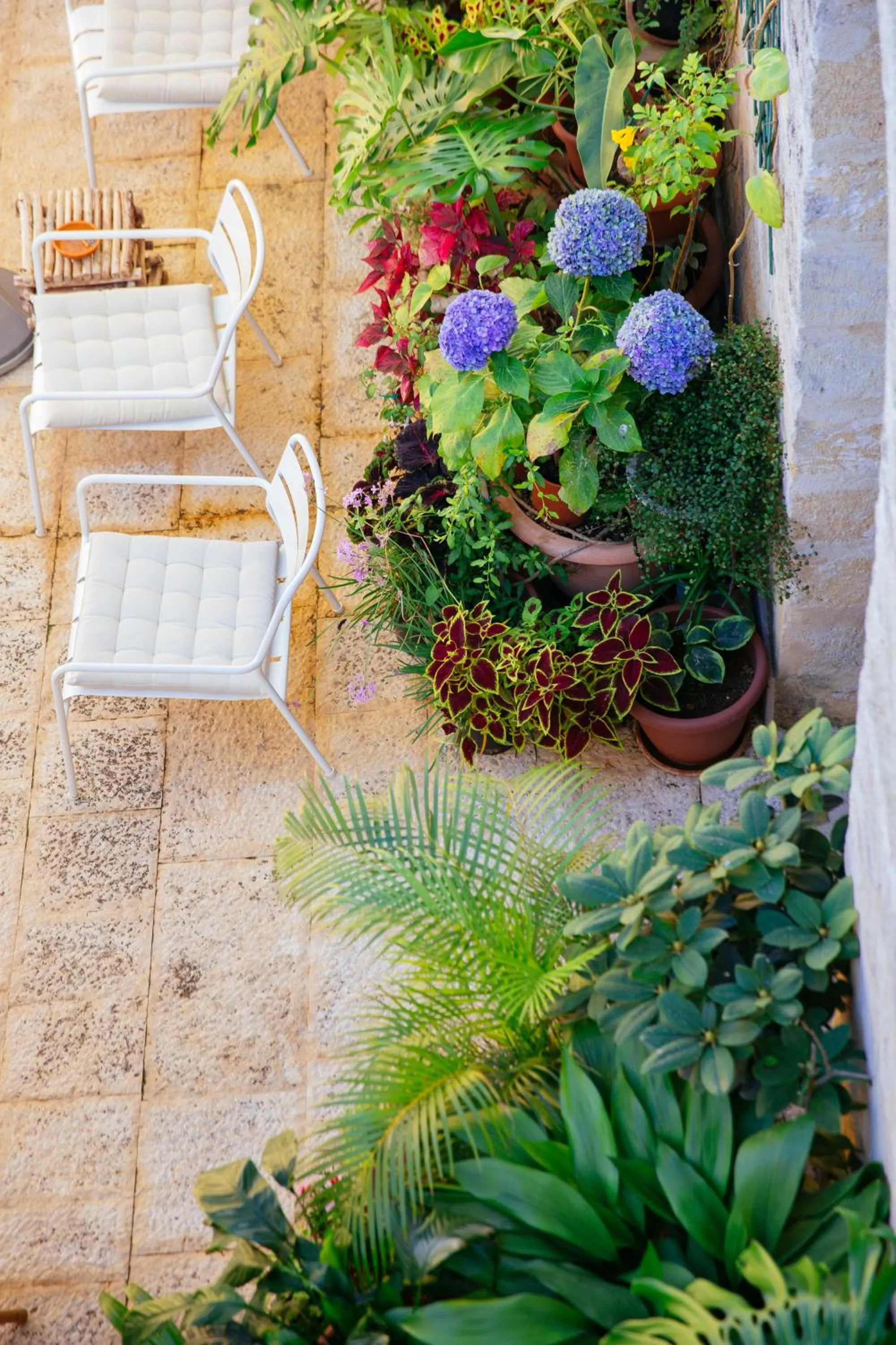 Patio in Hotel Baglio Catalano
