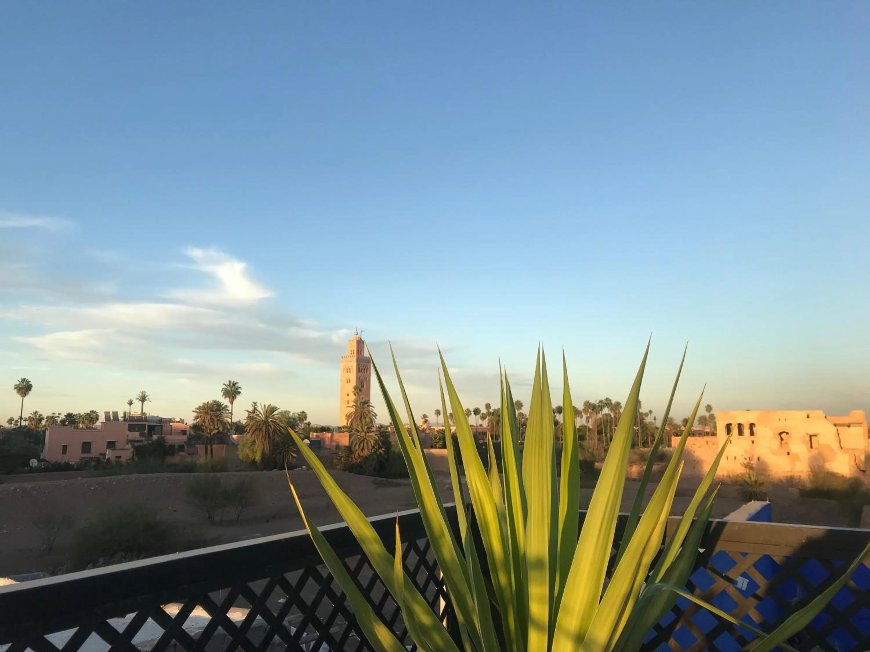 Day in Riad Marchica