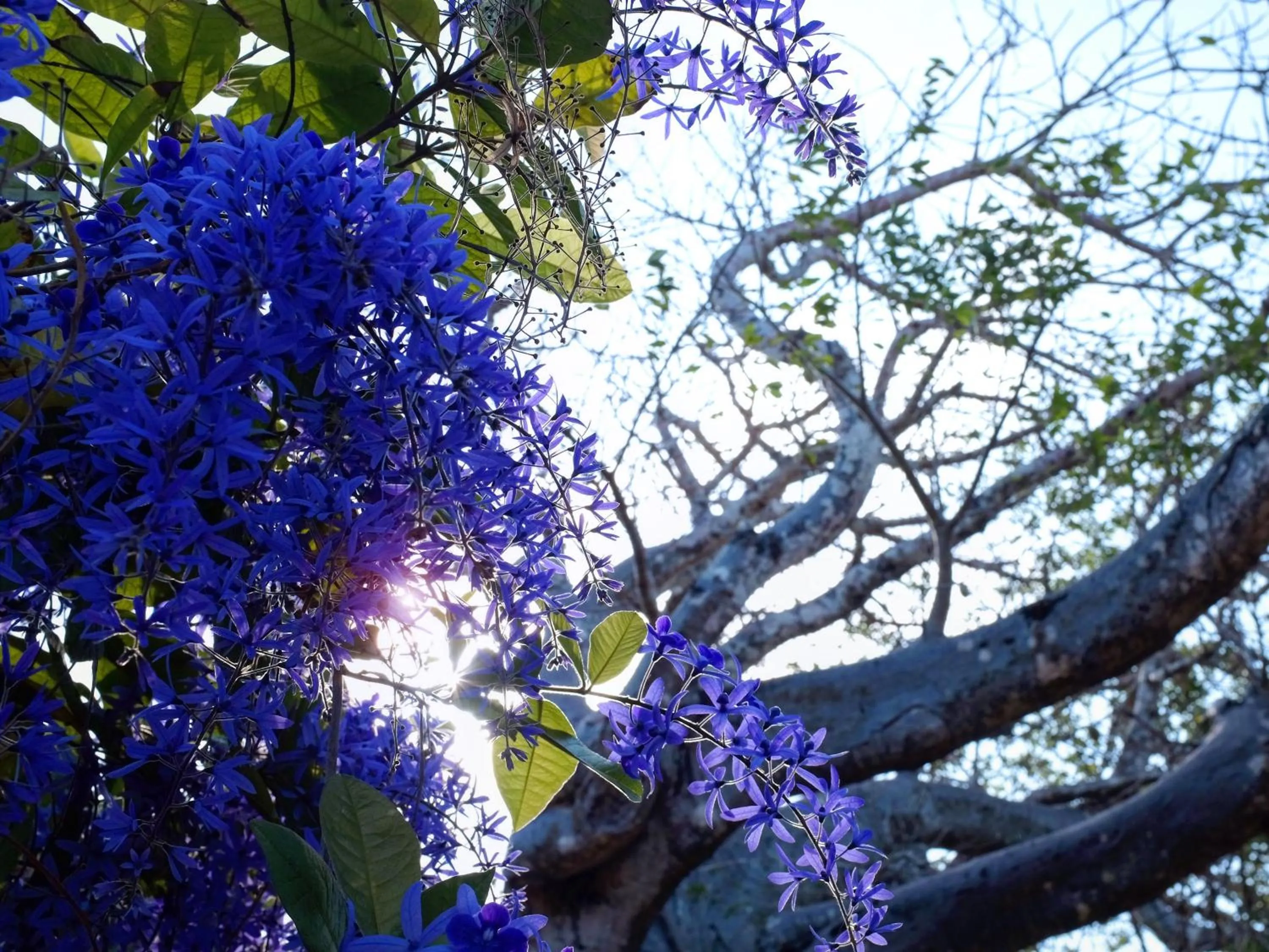 Patio in Salty's Kitesurf Village