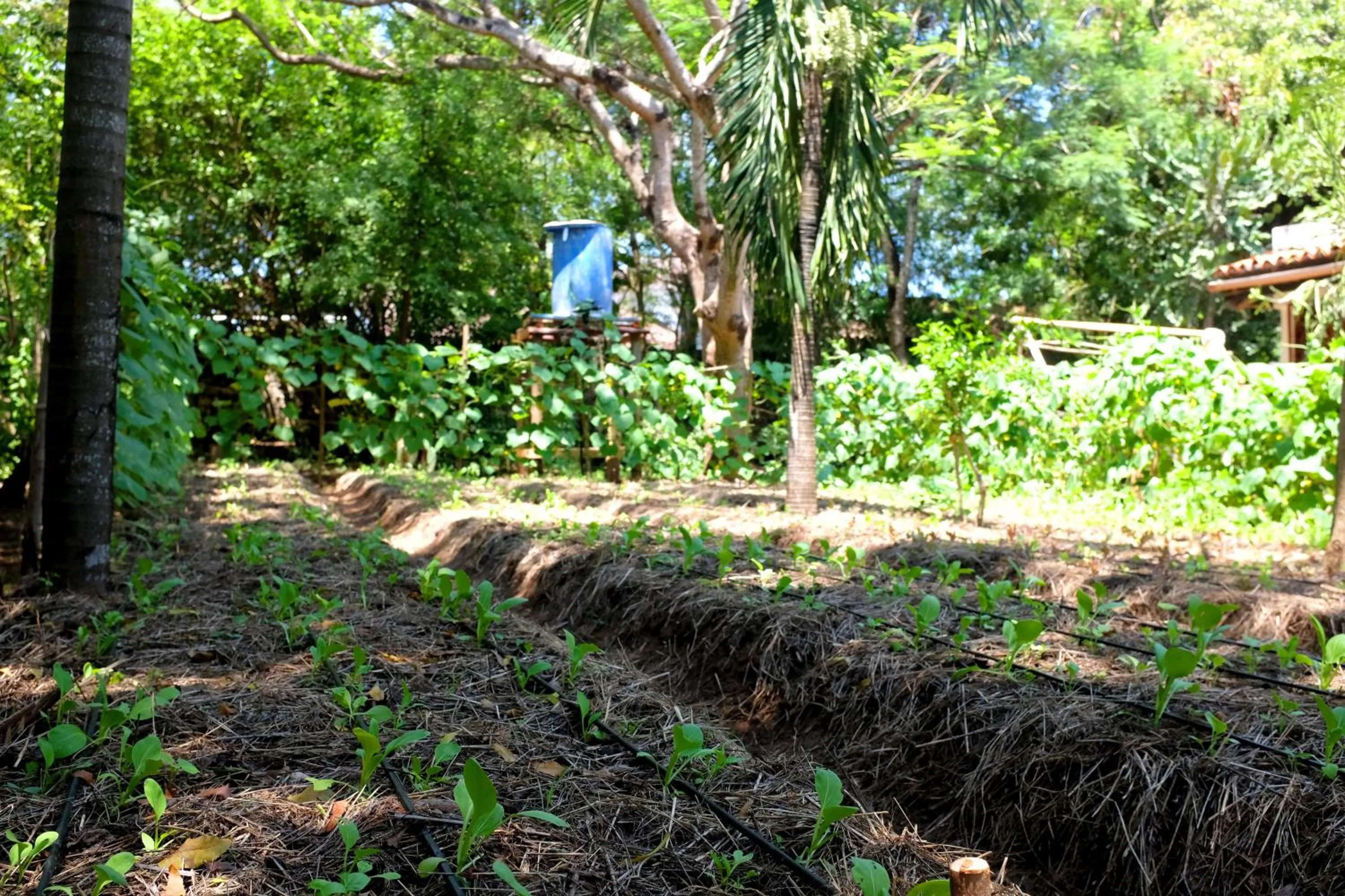 Natural landscape in Salty's Kitesurf Village