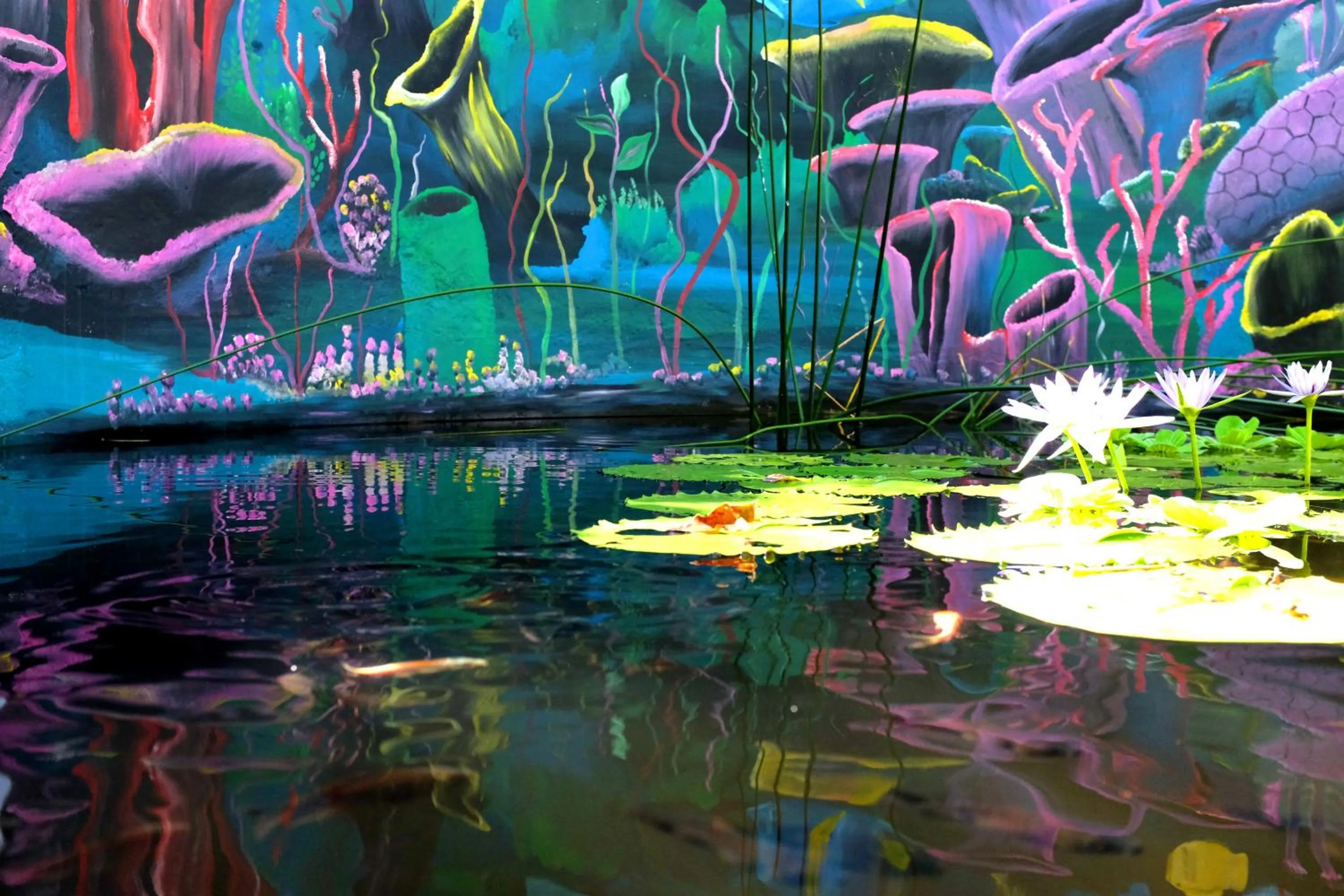 Patio in Salty's Kitesurf Village