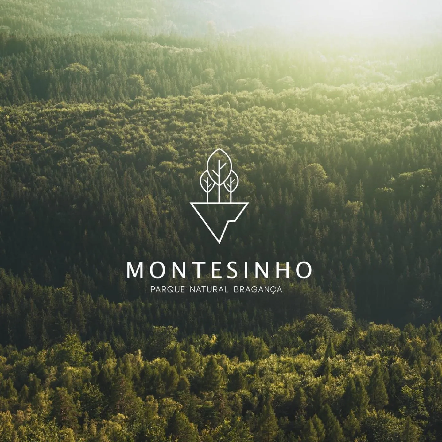 Natural landscape in O Bilhó