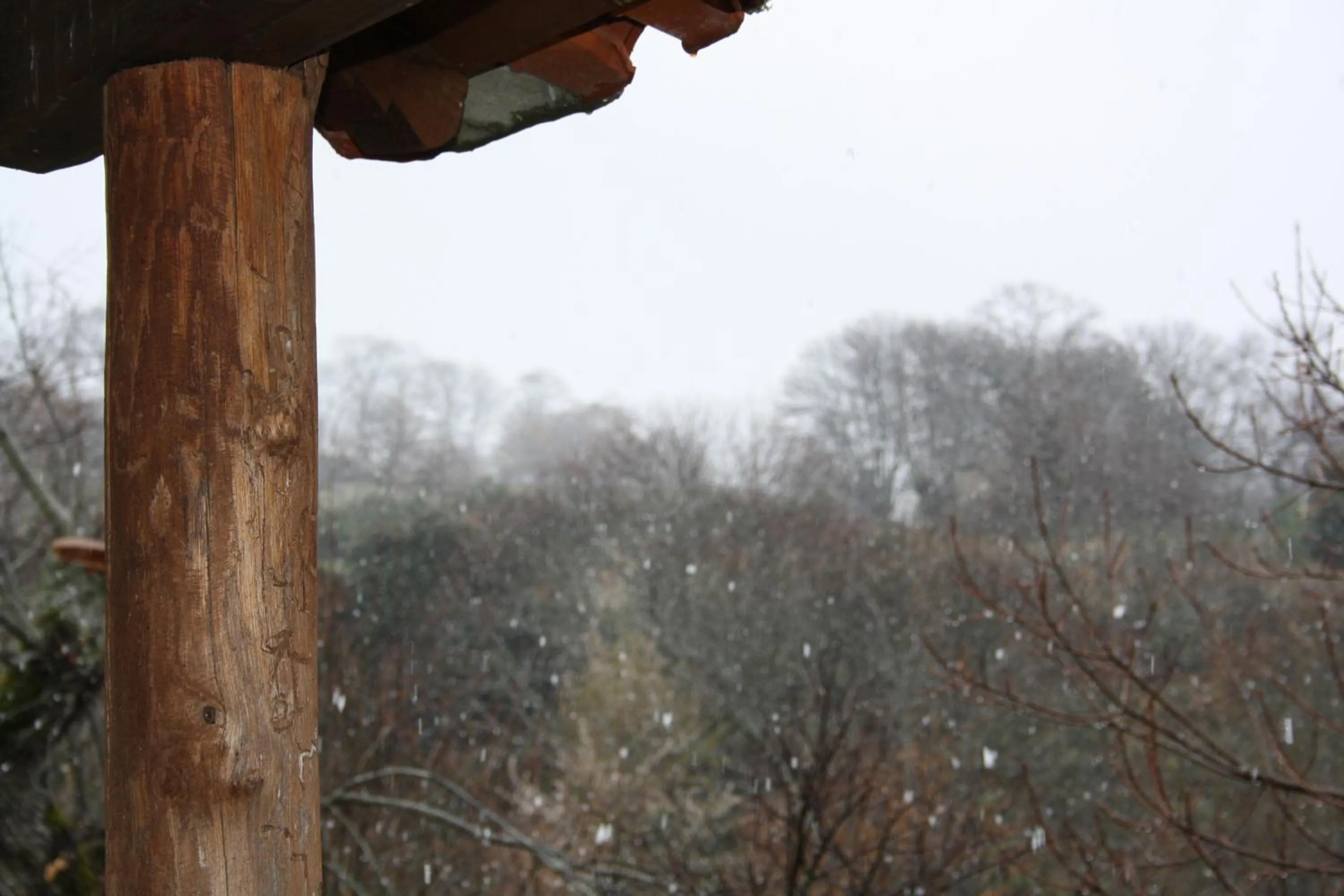 Property building in O Bilhó