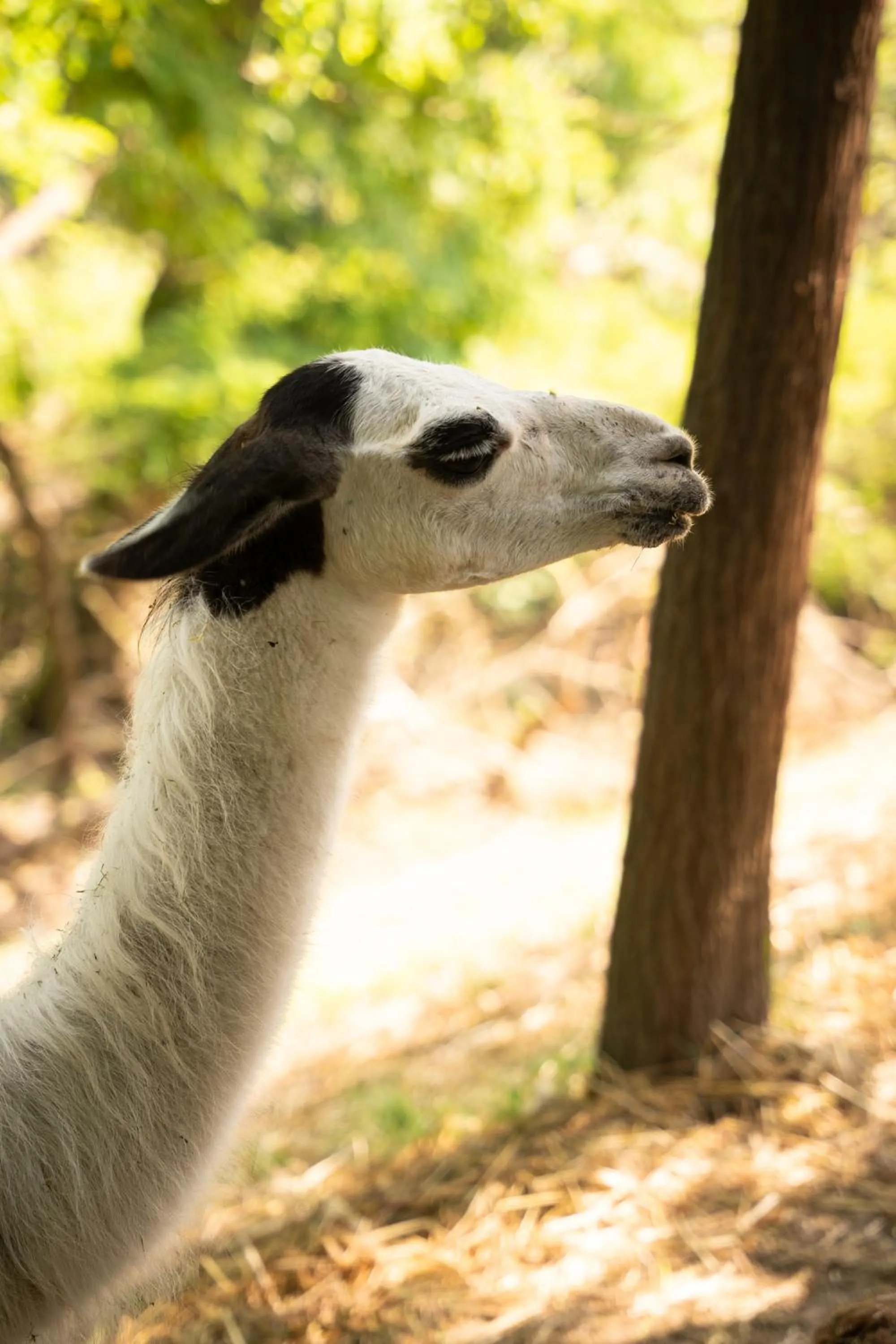 Terme Di Monte Valenza