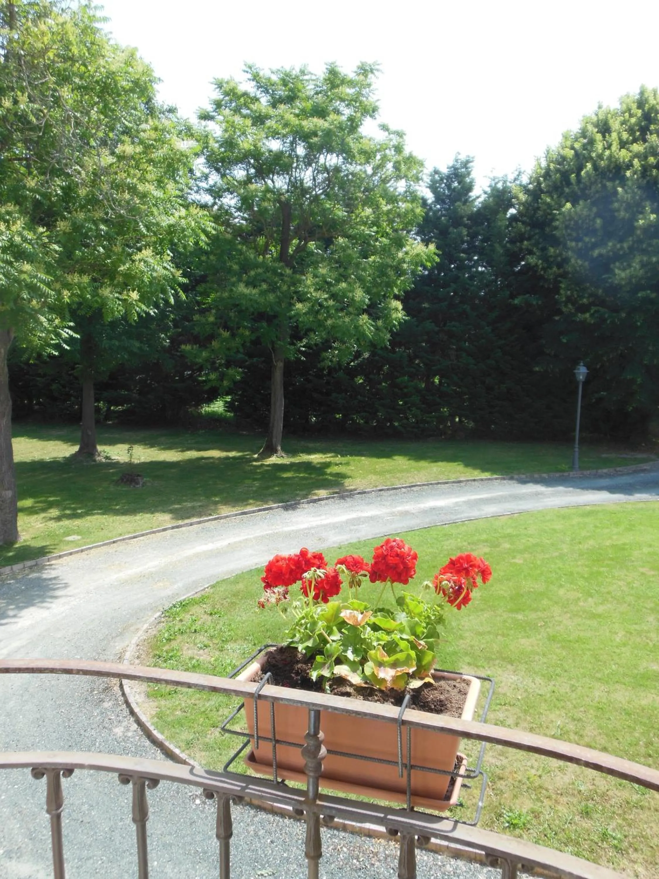 Garden in Villa Meli Lupi - Residenze Temporanee