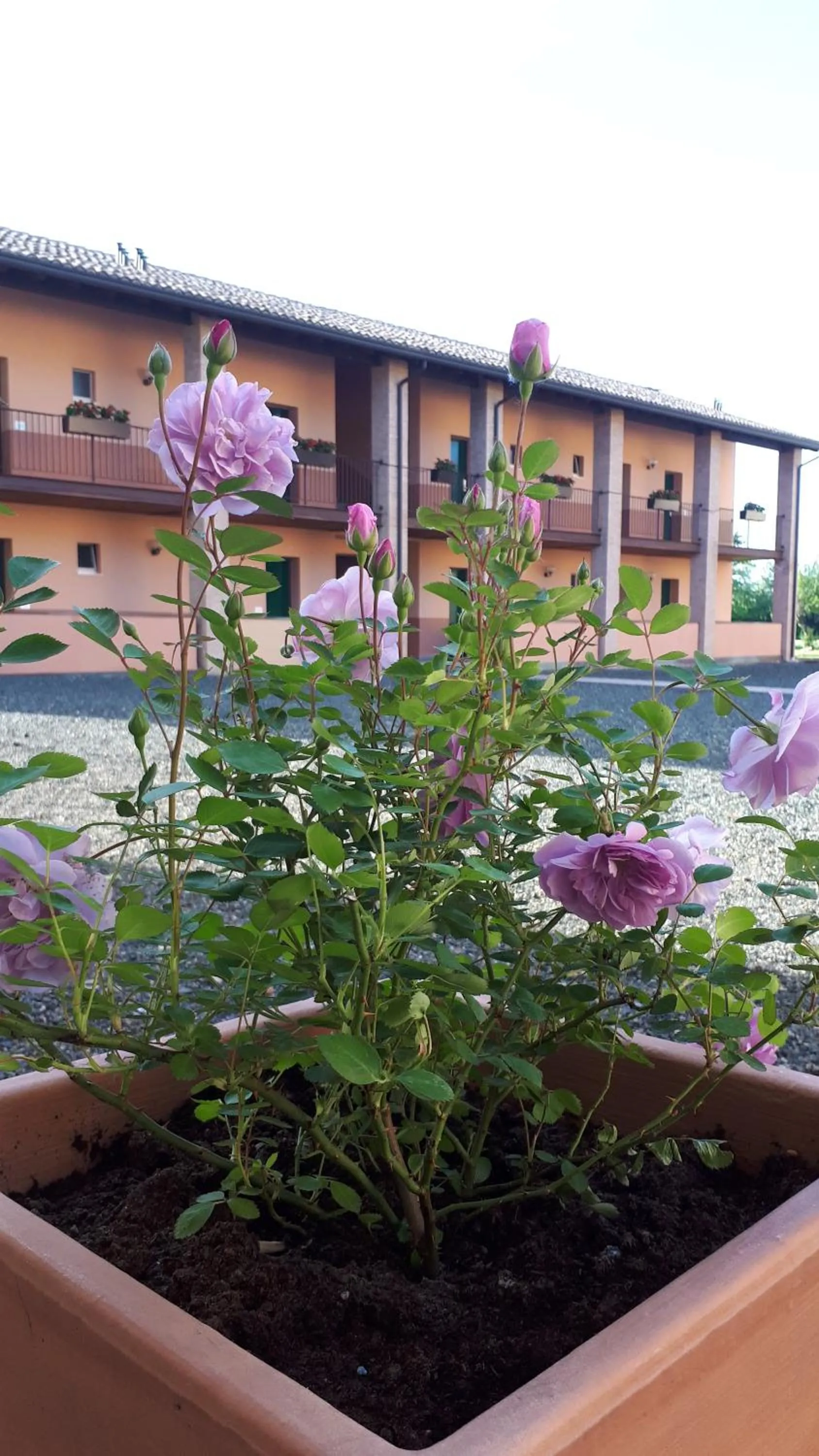 Villa Meli Lupi - Residenze Temporanee