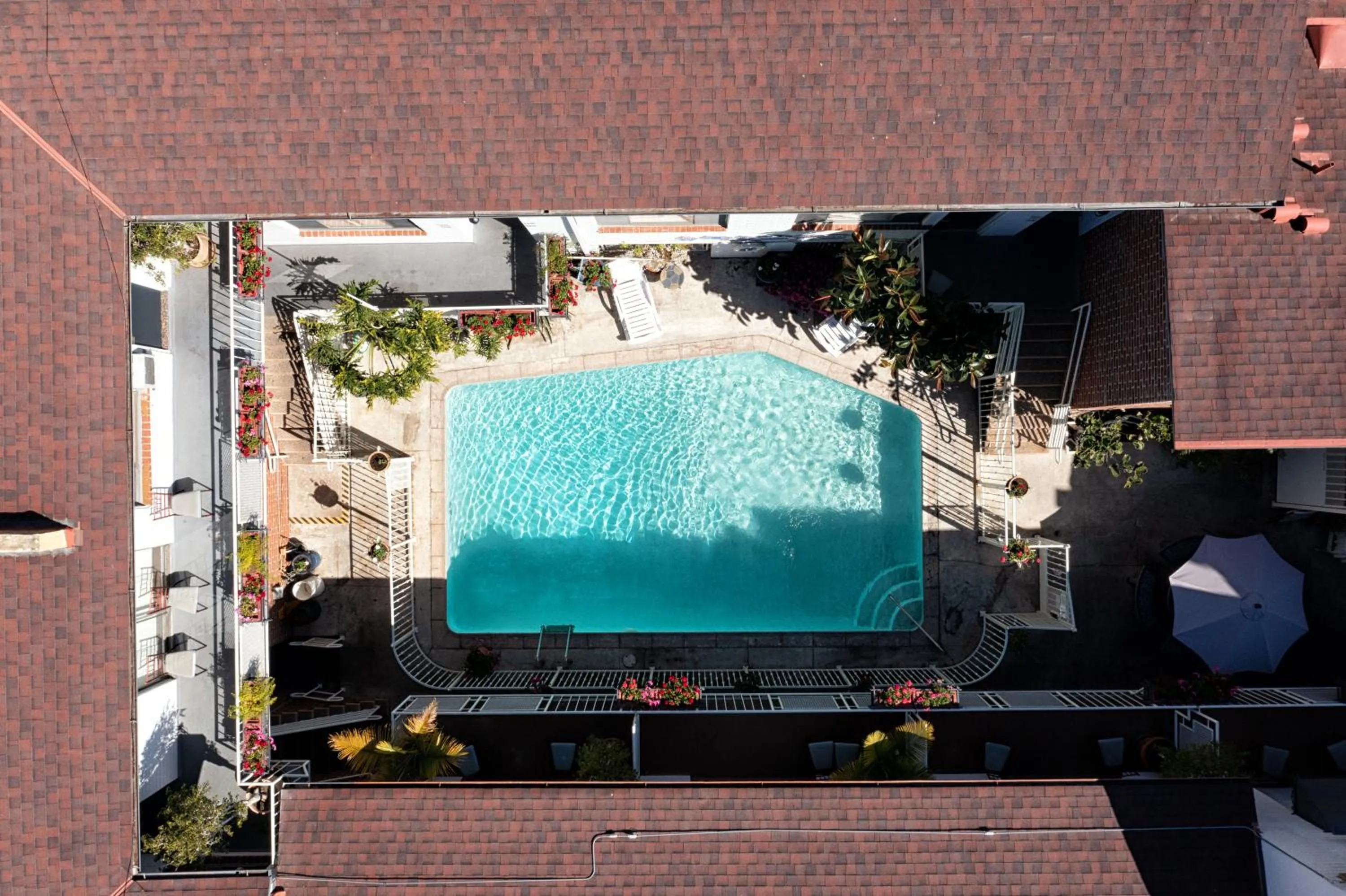 Pool View in Hollywood Downtowner Inn