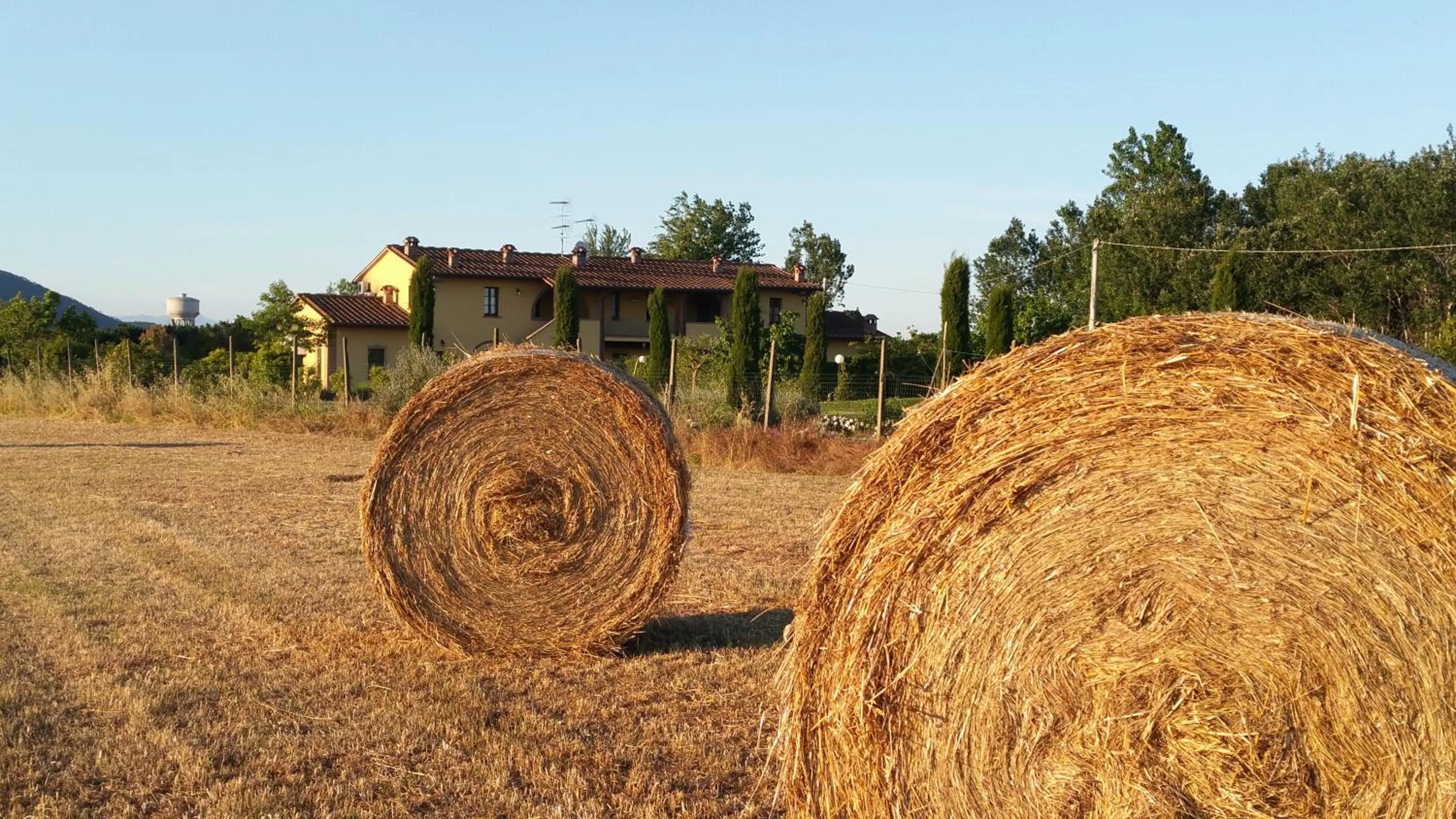 Property building in il Chiassetto Agriturismo No Kids