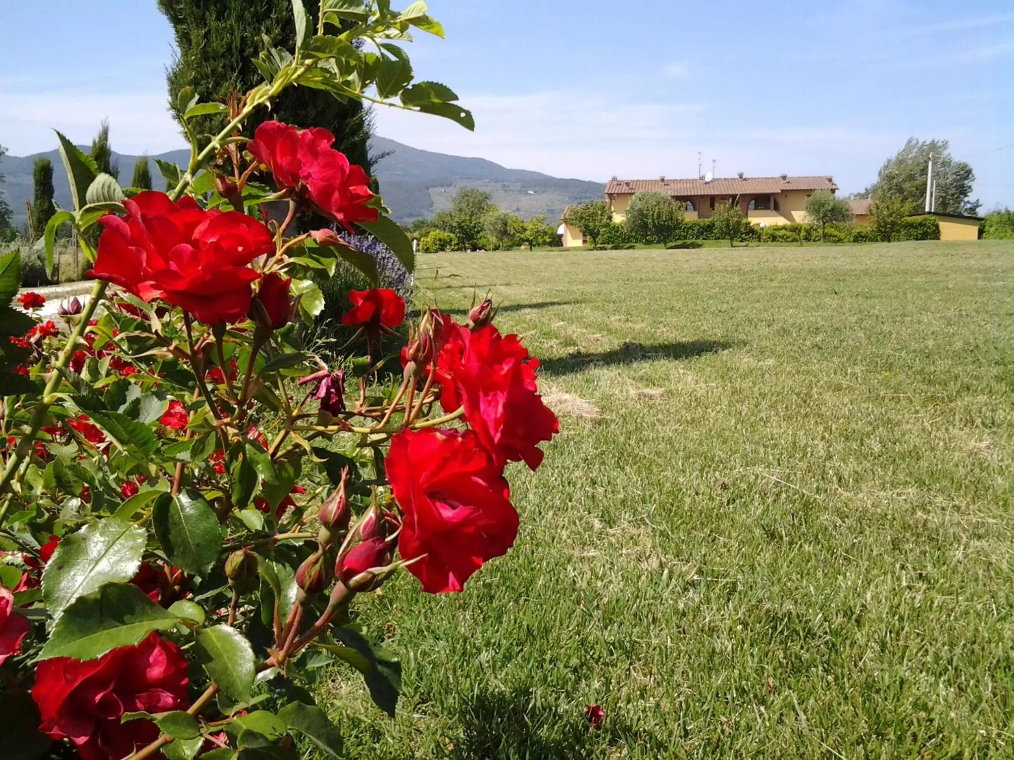 Property building in il Chiassetto Agriturismo No Kids