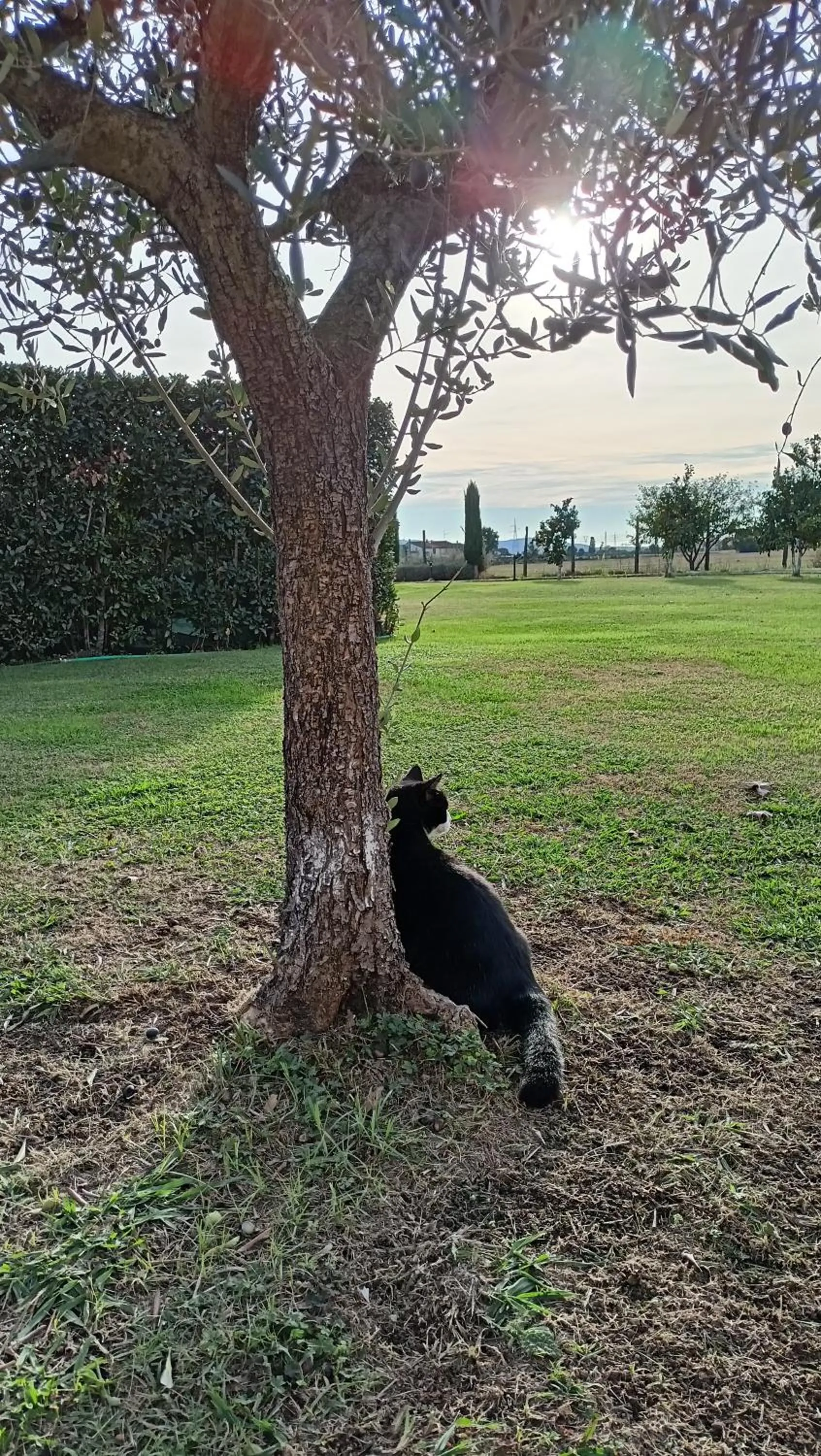 Day in il Chiassetto Agriturismo No Kids