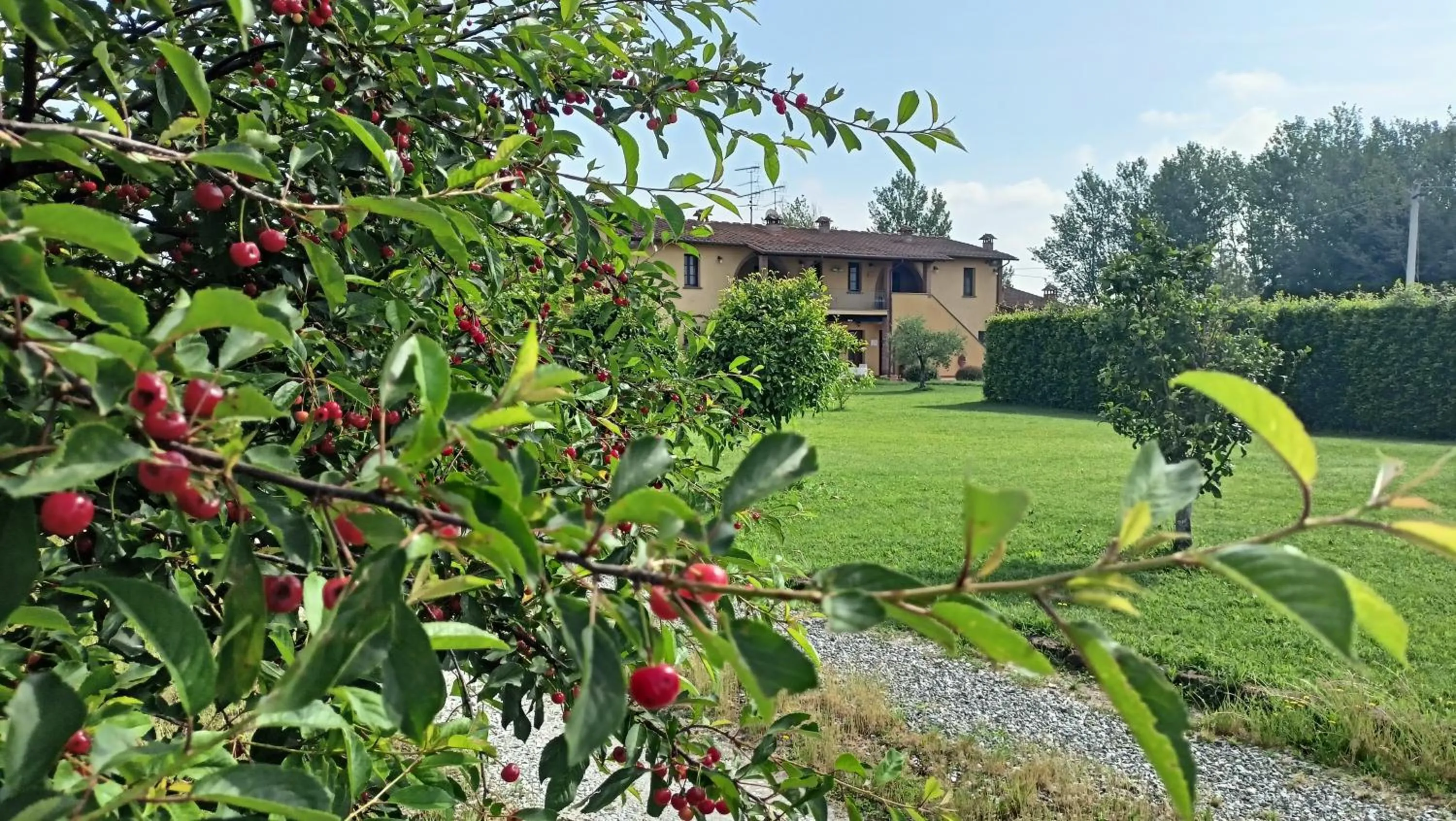 Property building in il Chiassetto Agriturismo No Kids
