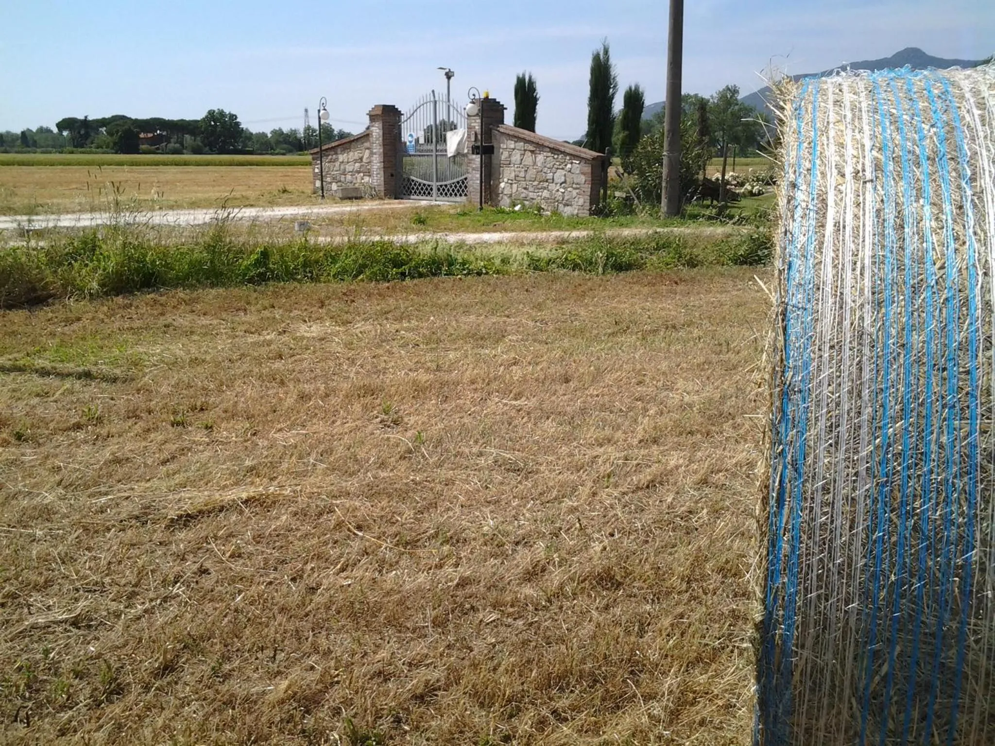 Spring in il Chiassetto Agriturismo No Kids