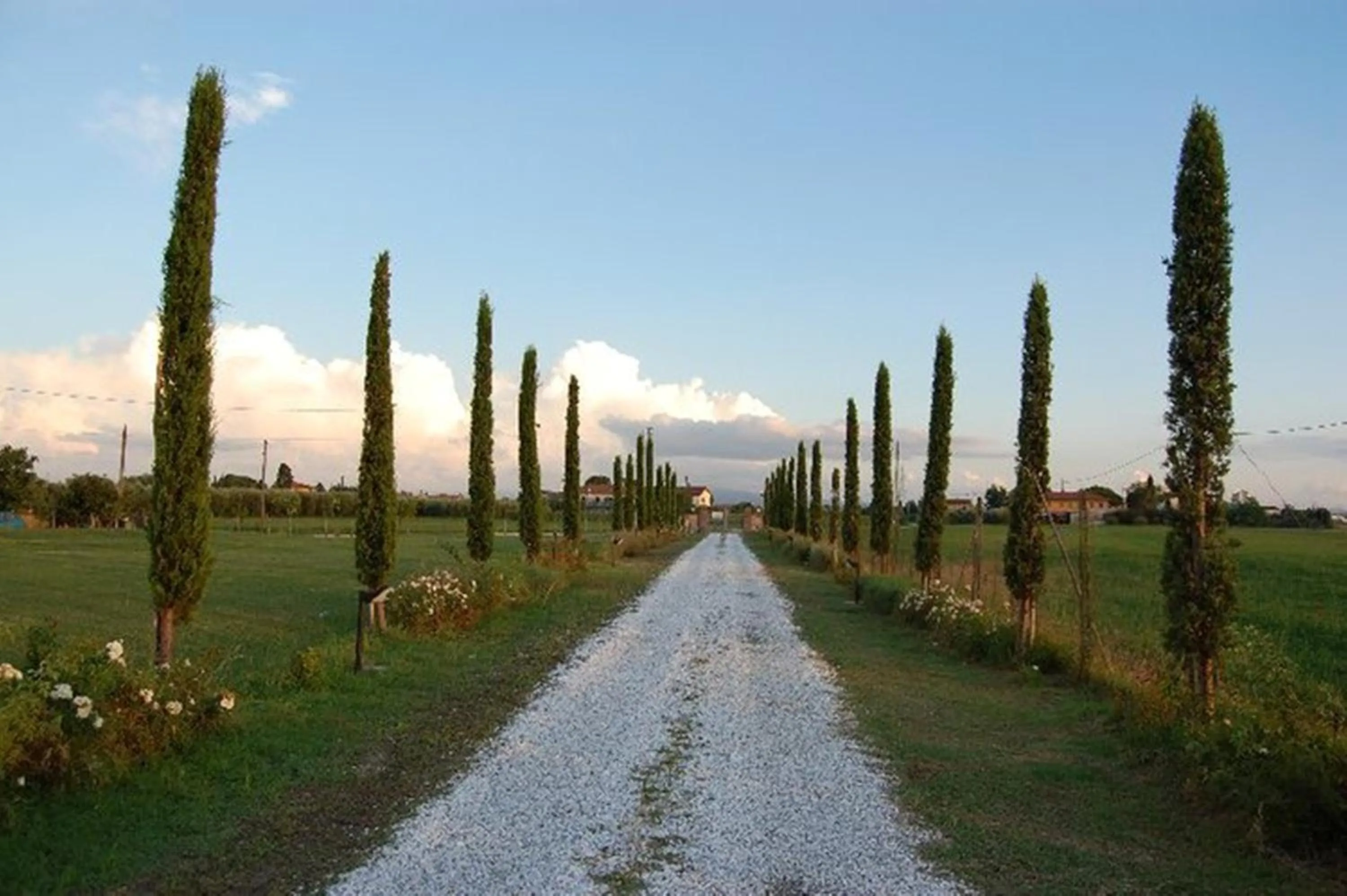 Garden in il Chiassetto Agriturismo No Kids