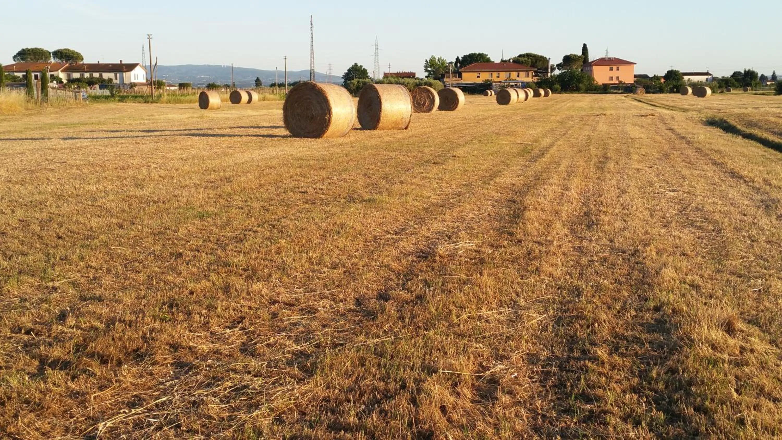 Natural landscape in il Chiassetto Agriturismo No Kids