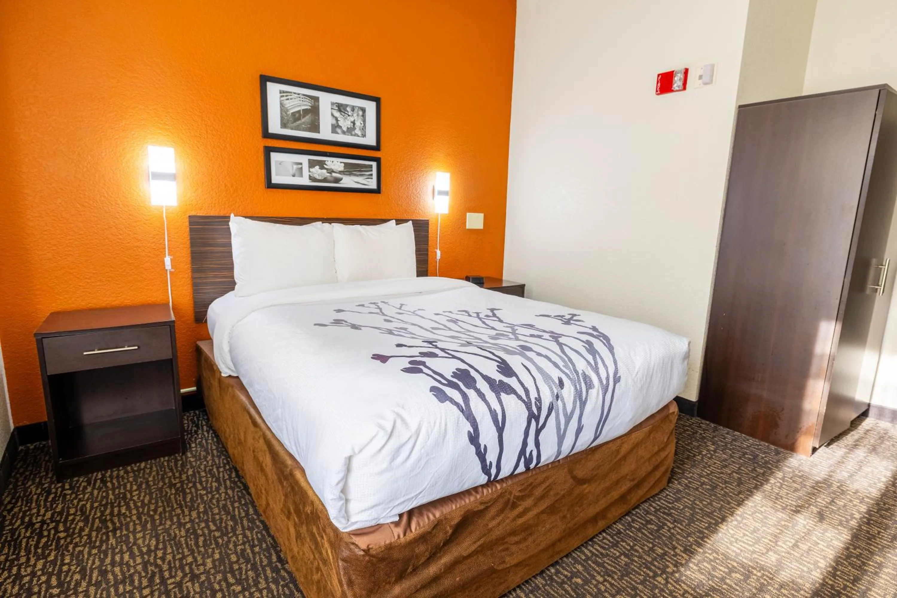 Bed in Sleep Inn Ormond Beach - Daytona