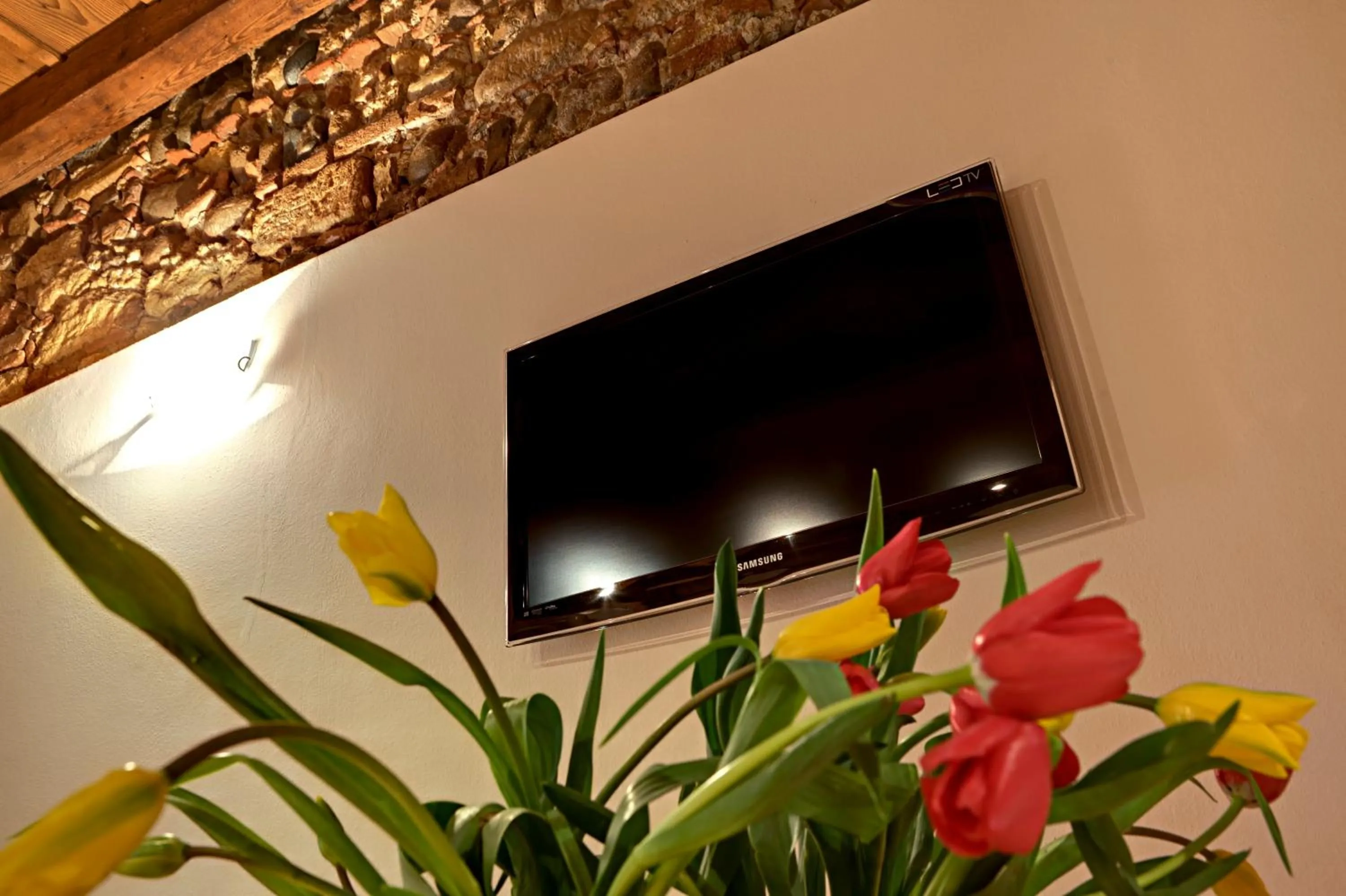 TV and multimedia in Il Vicolo Aparthotel Verona