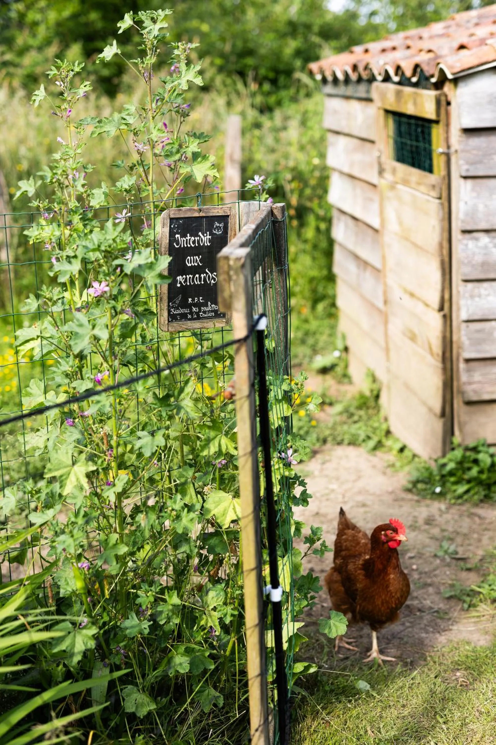 Garden in L'instant jardin