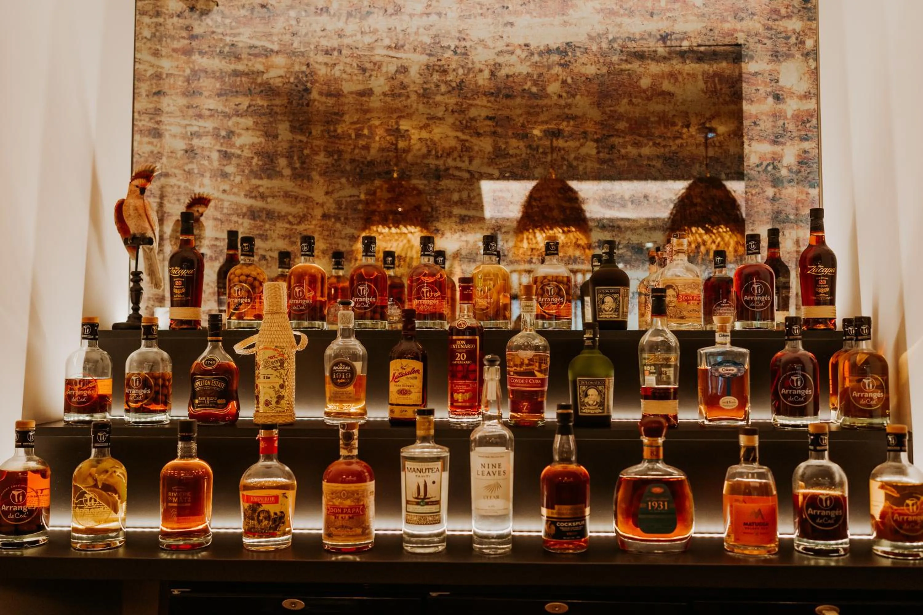 Lounge or bar in Palm Boutique Hôtel Nice