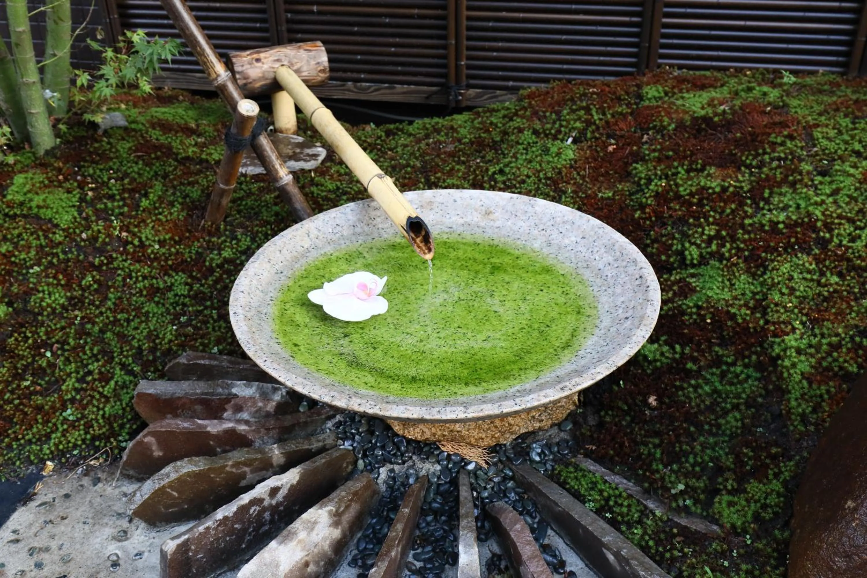 Garden view in Wa Style Tokyo