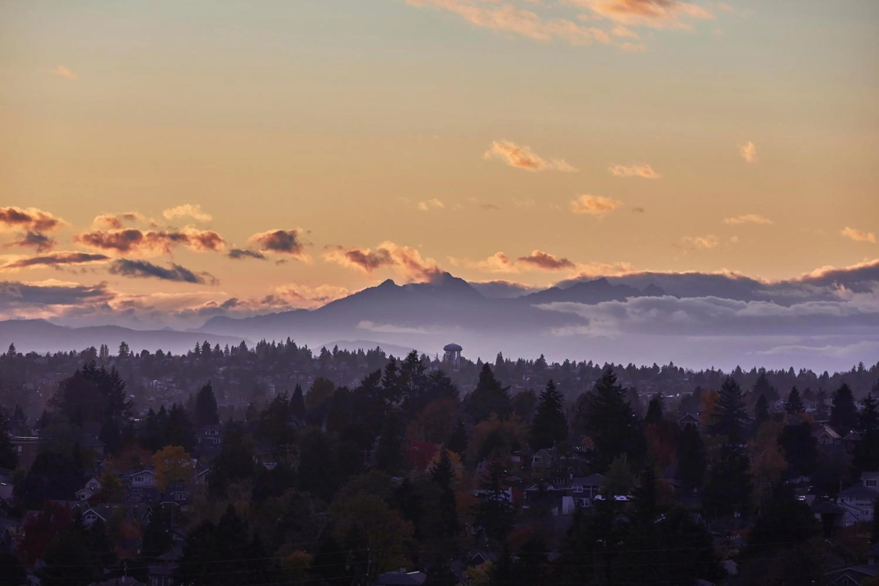 Landmark view in Graduate by Hilton Seattle