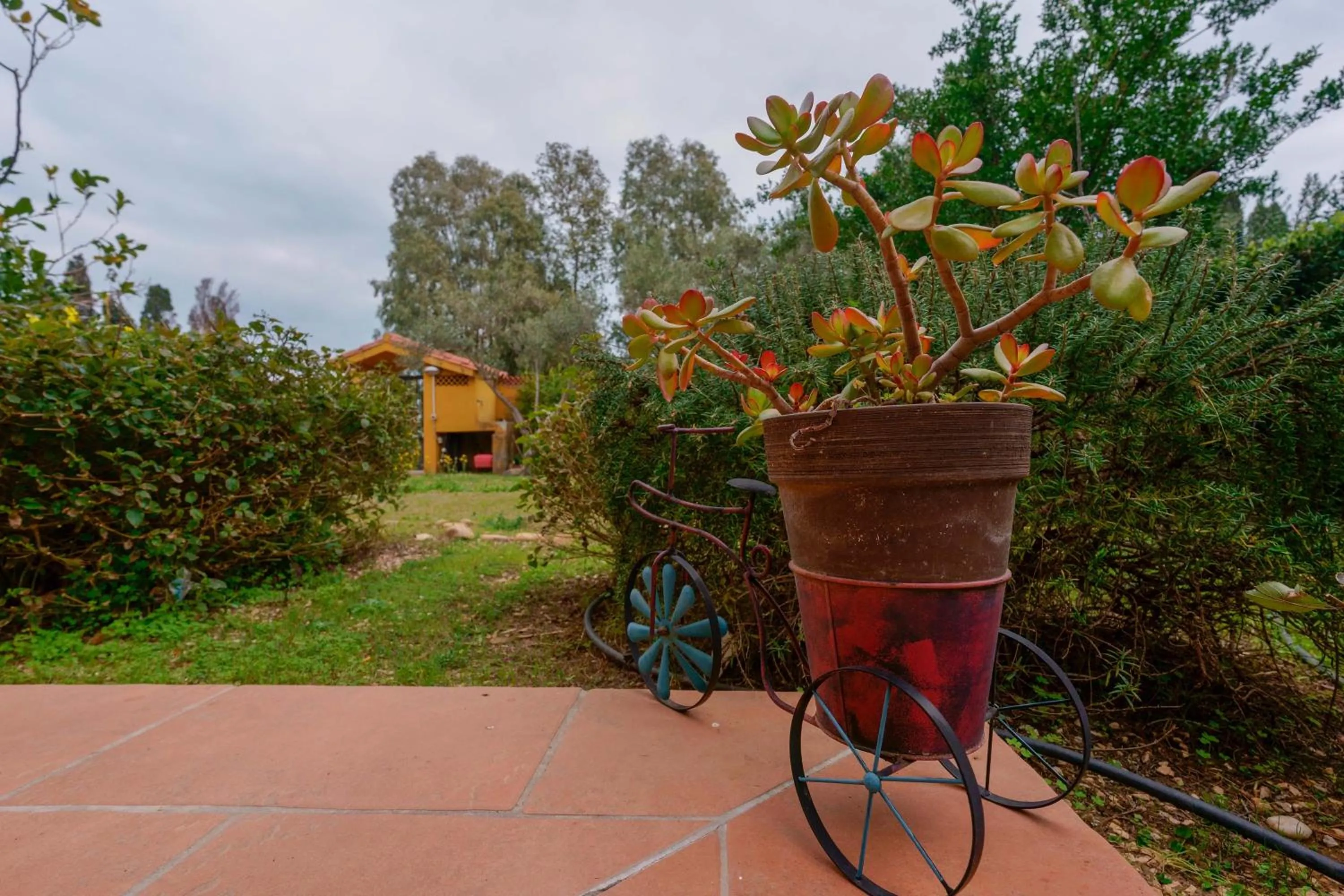 Garden in B&B Gassa d'Amante
