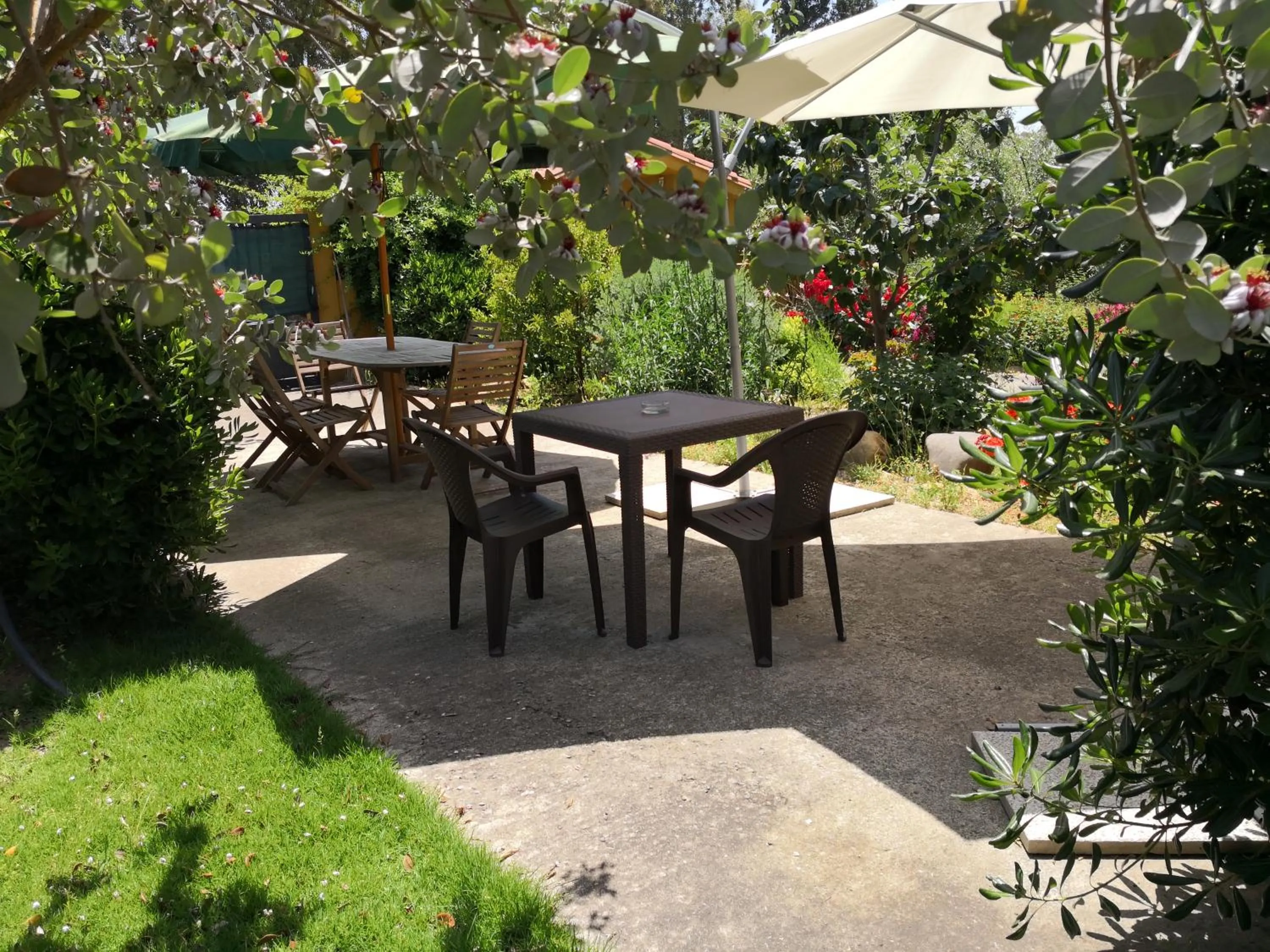 Activities in B&B Gassa d'Amante