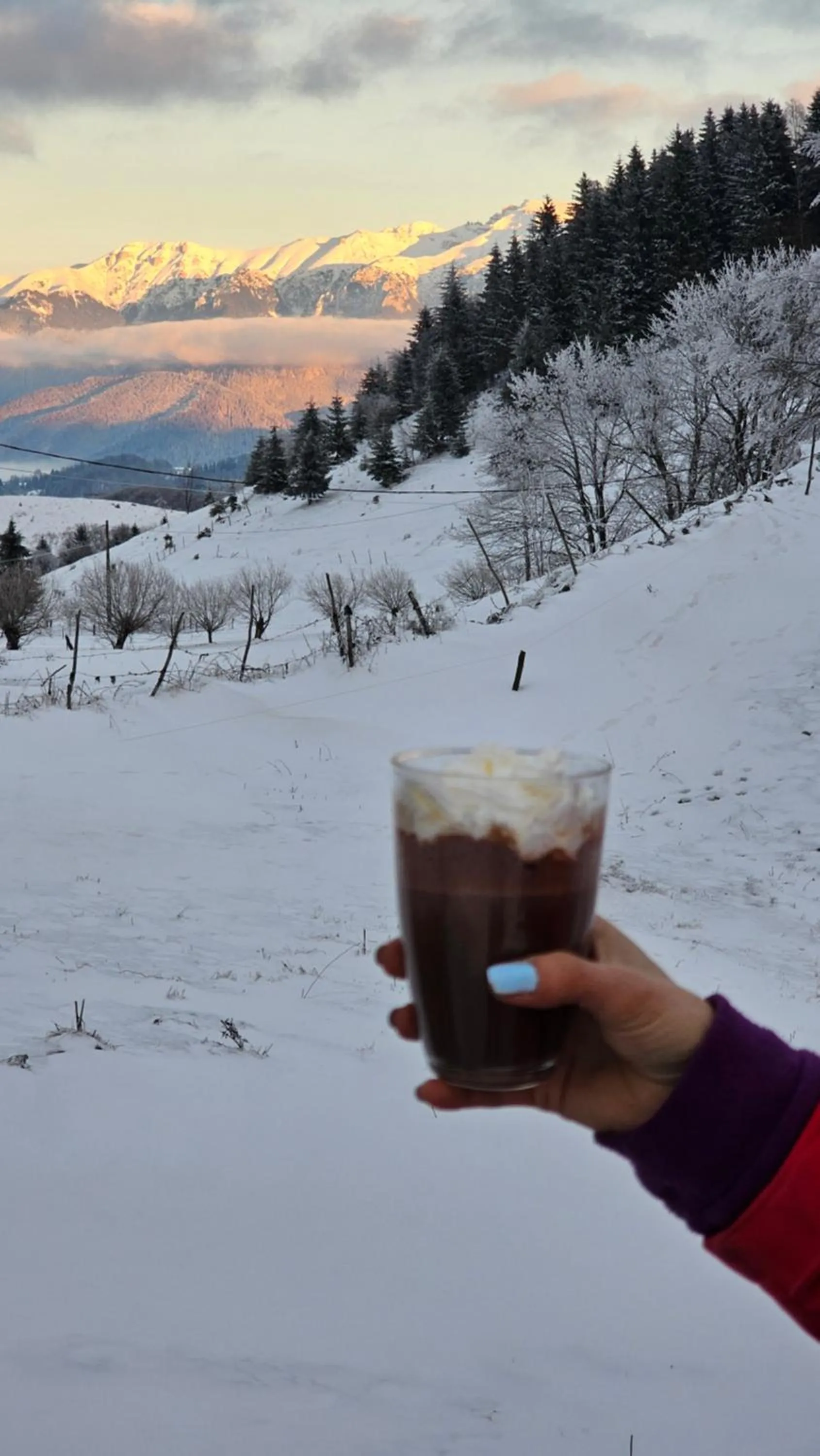 Natural landscape in Ursa Mica Glamping Resort