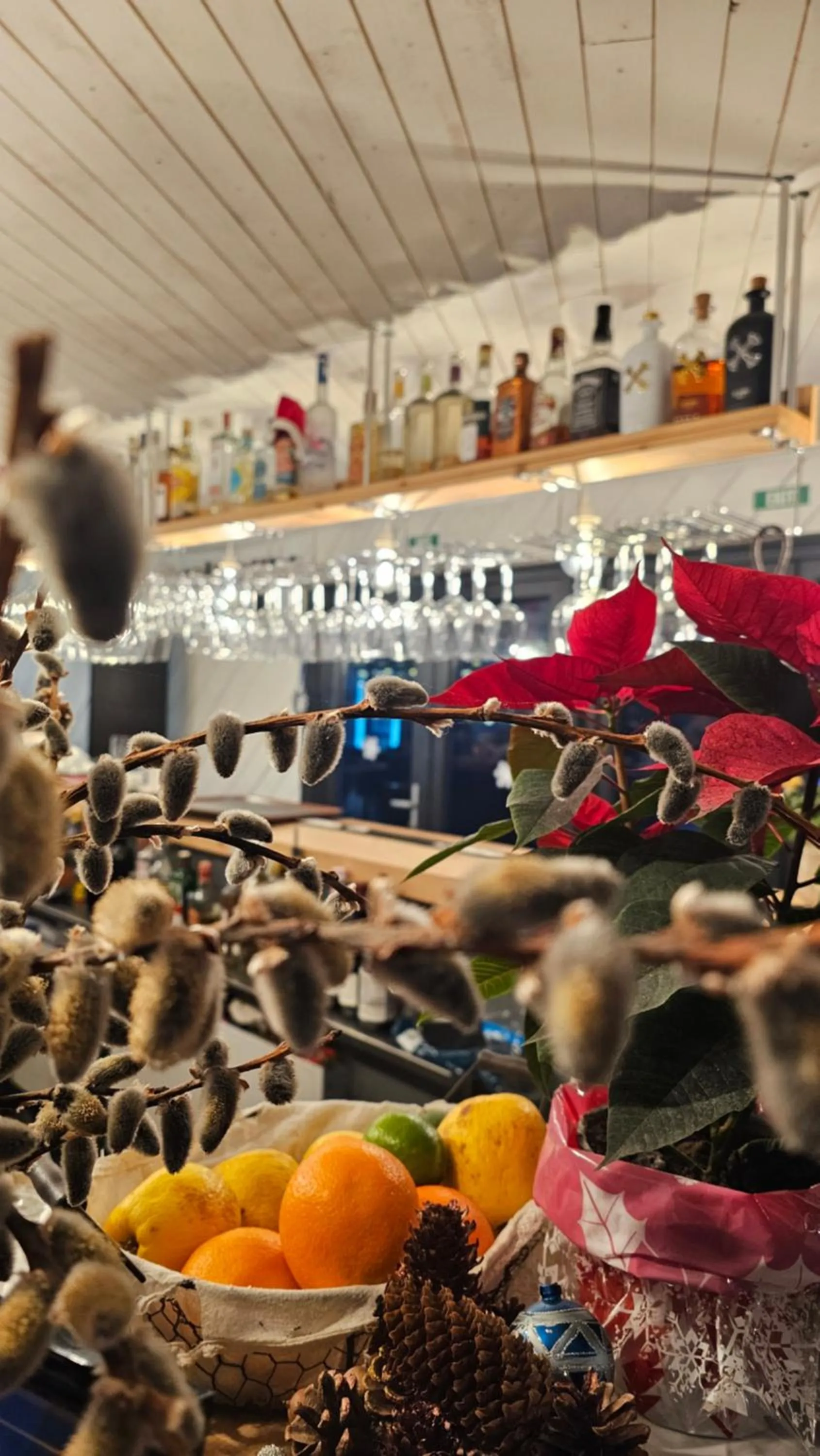 Restaurant/places to eat in Ursa Mica Glamping Resort