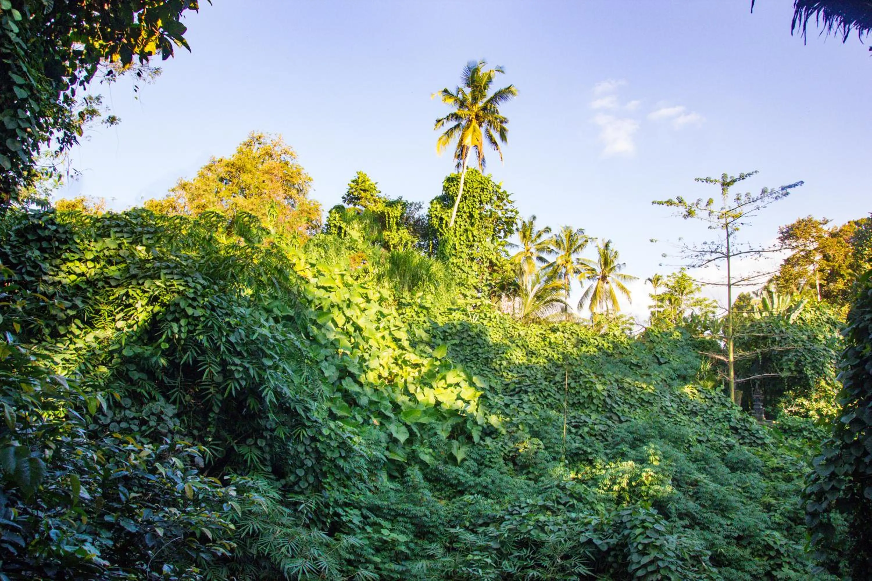 View (from property/room) in Parvati Retreat Villas