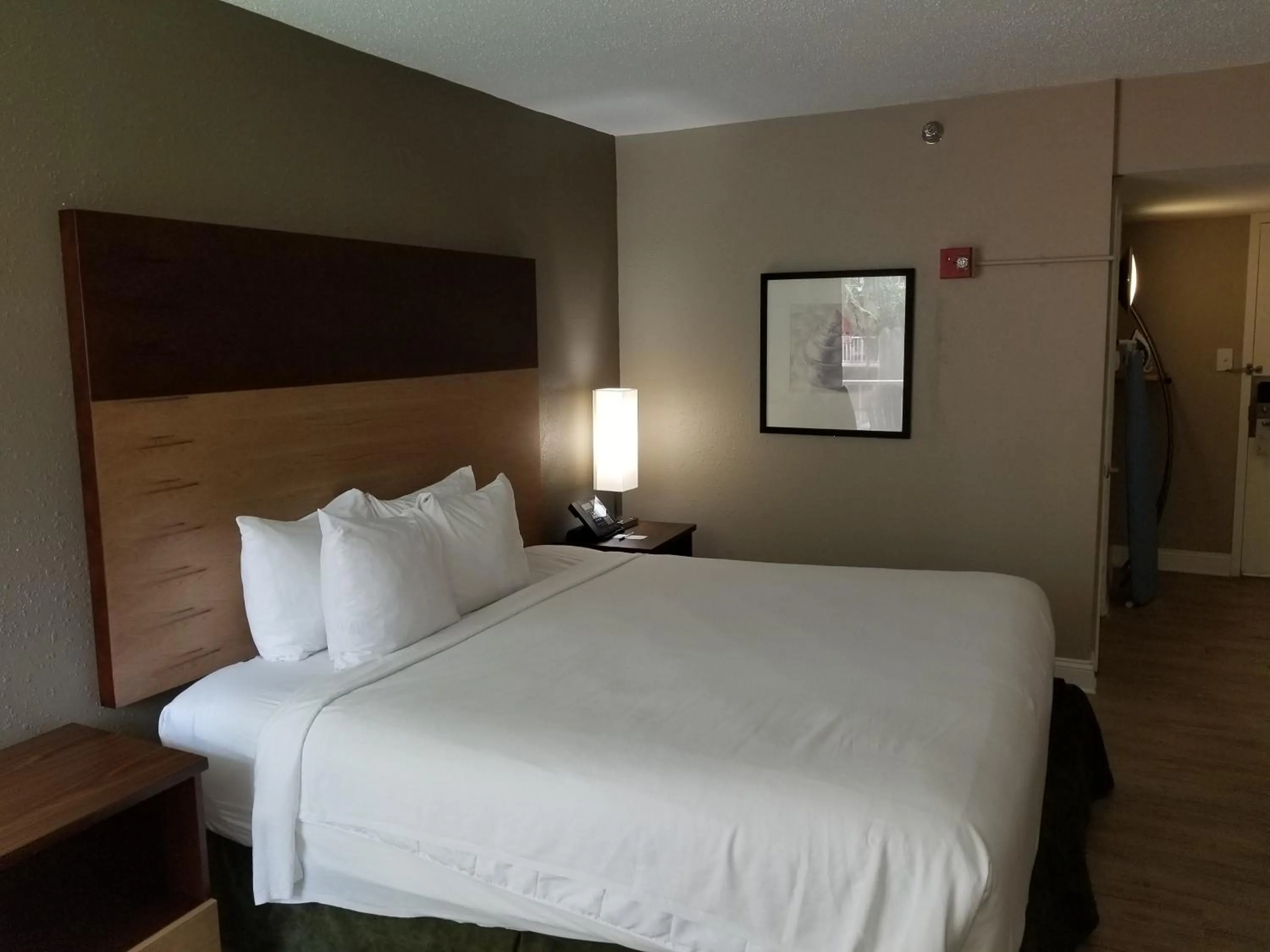 Photo of the whole room in Stayable Select Gainesville