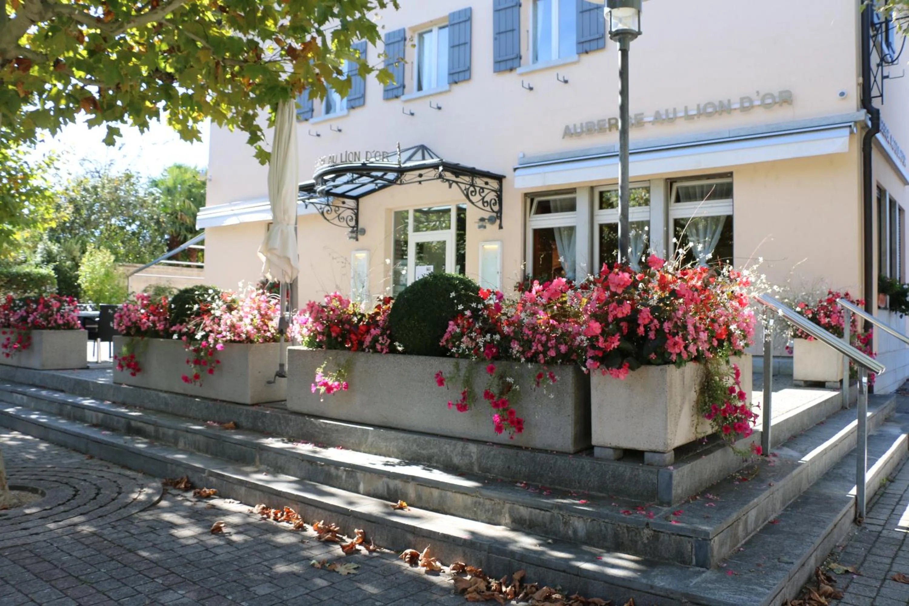 Property building in Auberge Au Lion d'Or