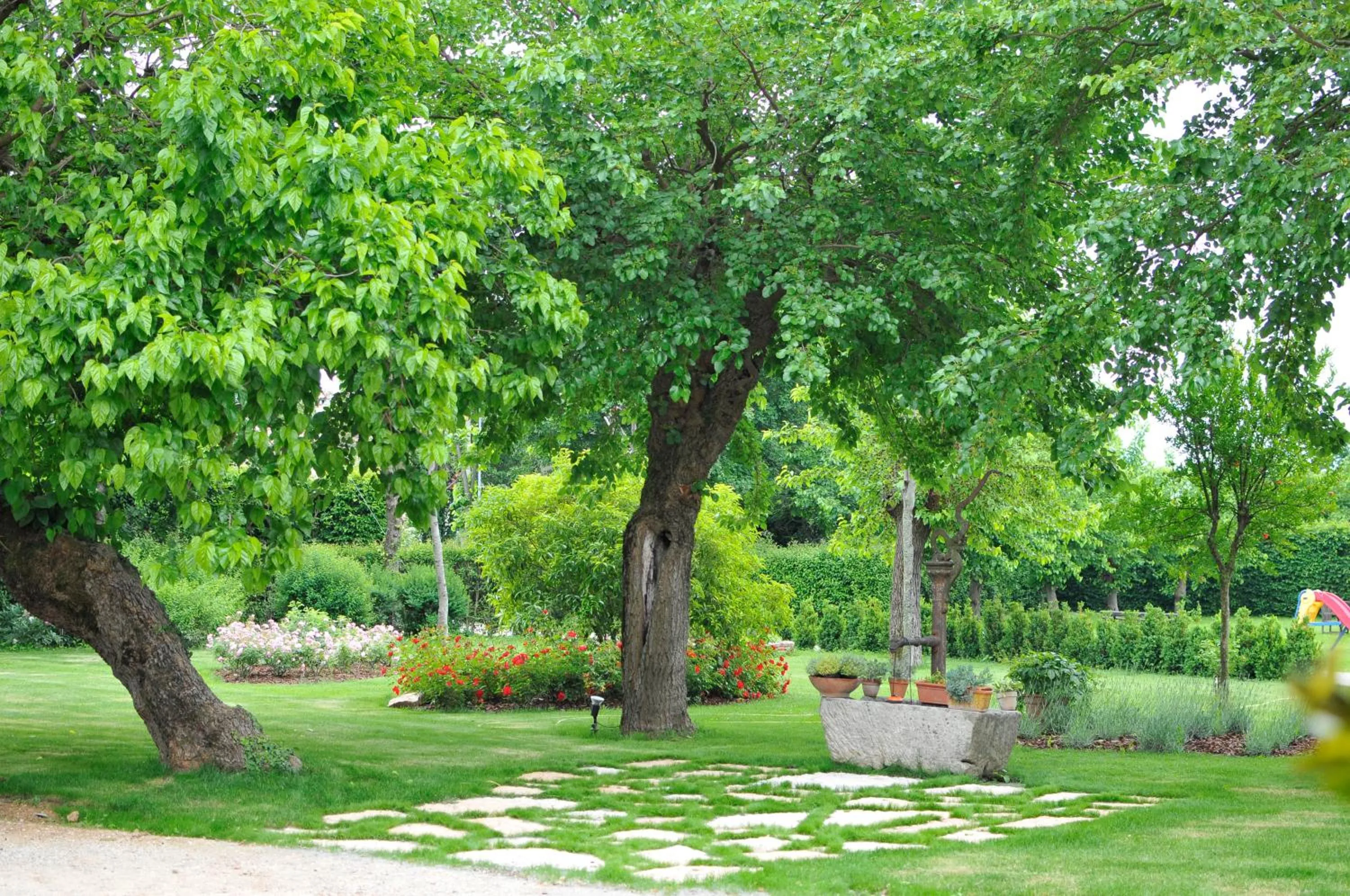 Day in B&B Ca' Cinel Asolo