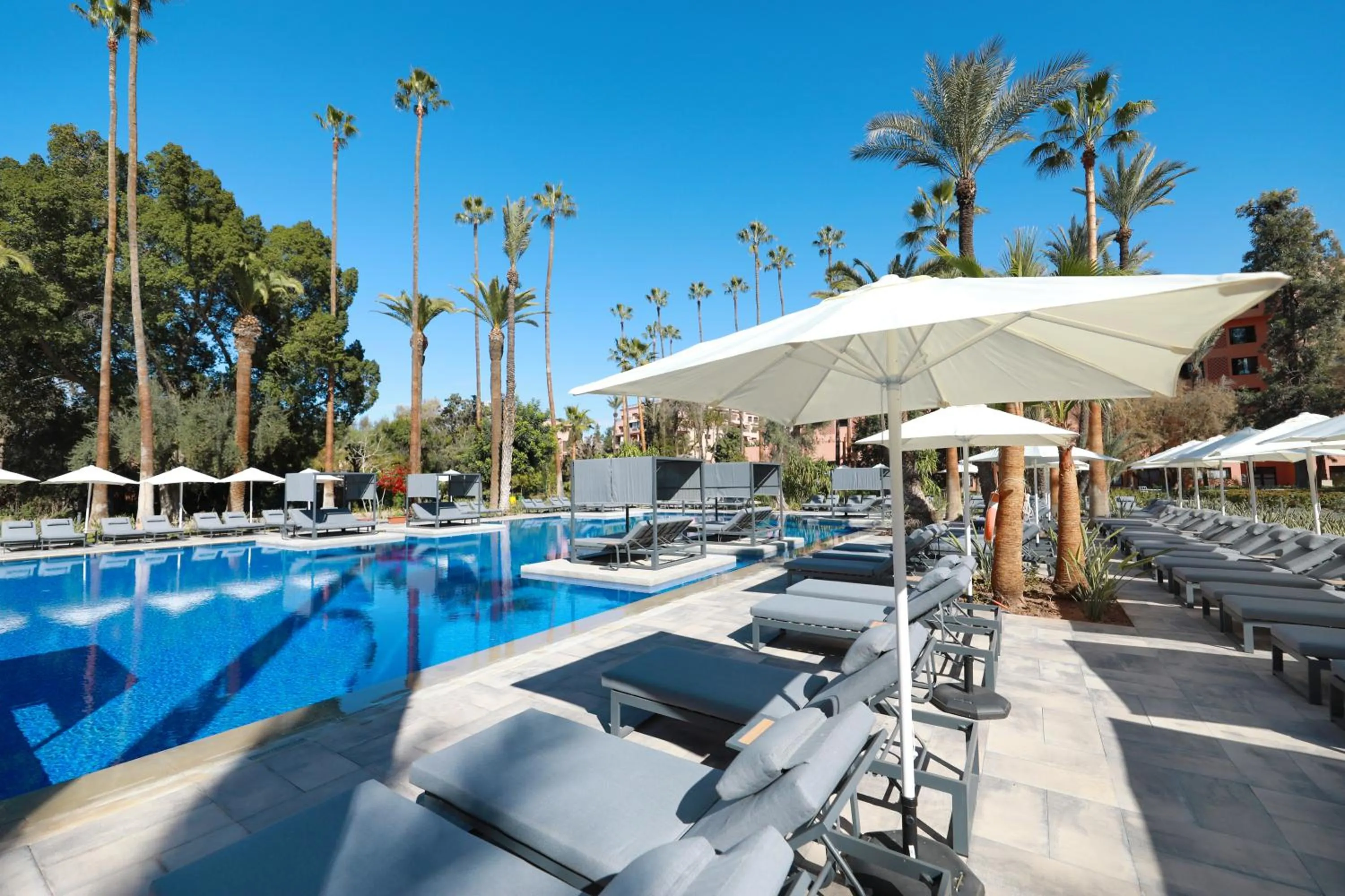 Swimming pool in Kenzi Rose Garden