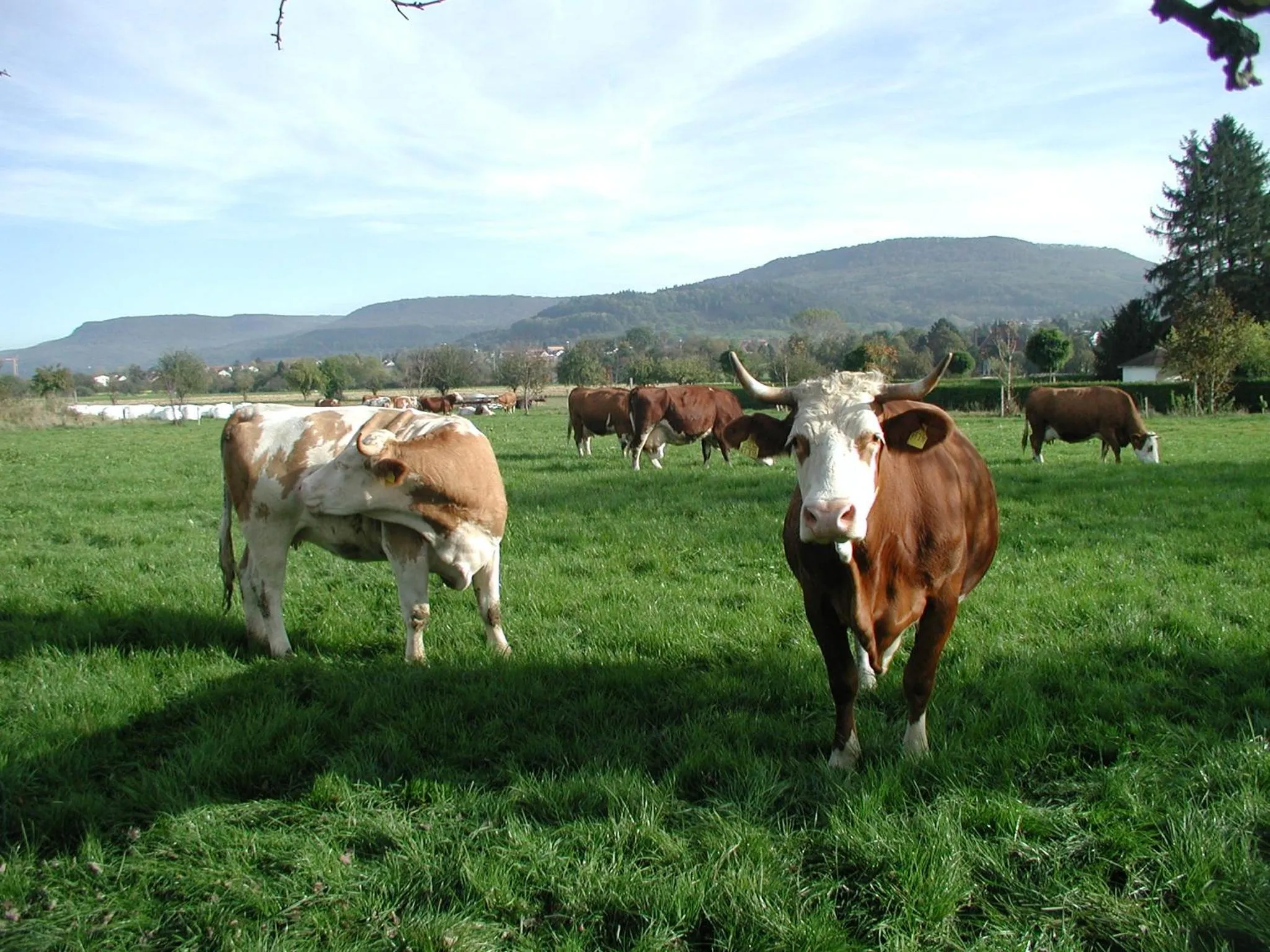Evangelische Tagungsstätte Bad Boll
